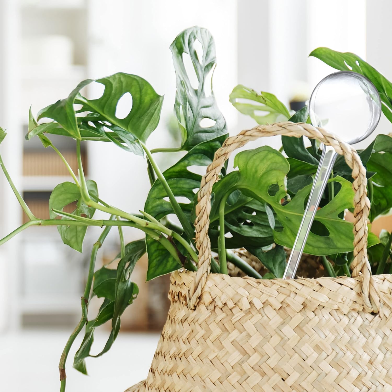 Relaxdays Watering Balls, Set of 10, H x D: 28 x 8 cm, Thirst Balls for Flowers and Plants, 250 ml, Plastic, Transparent