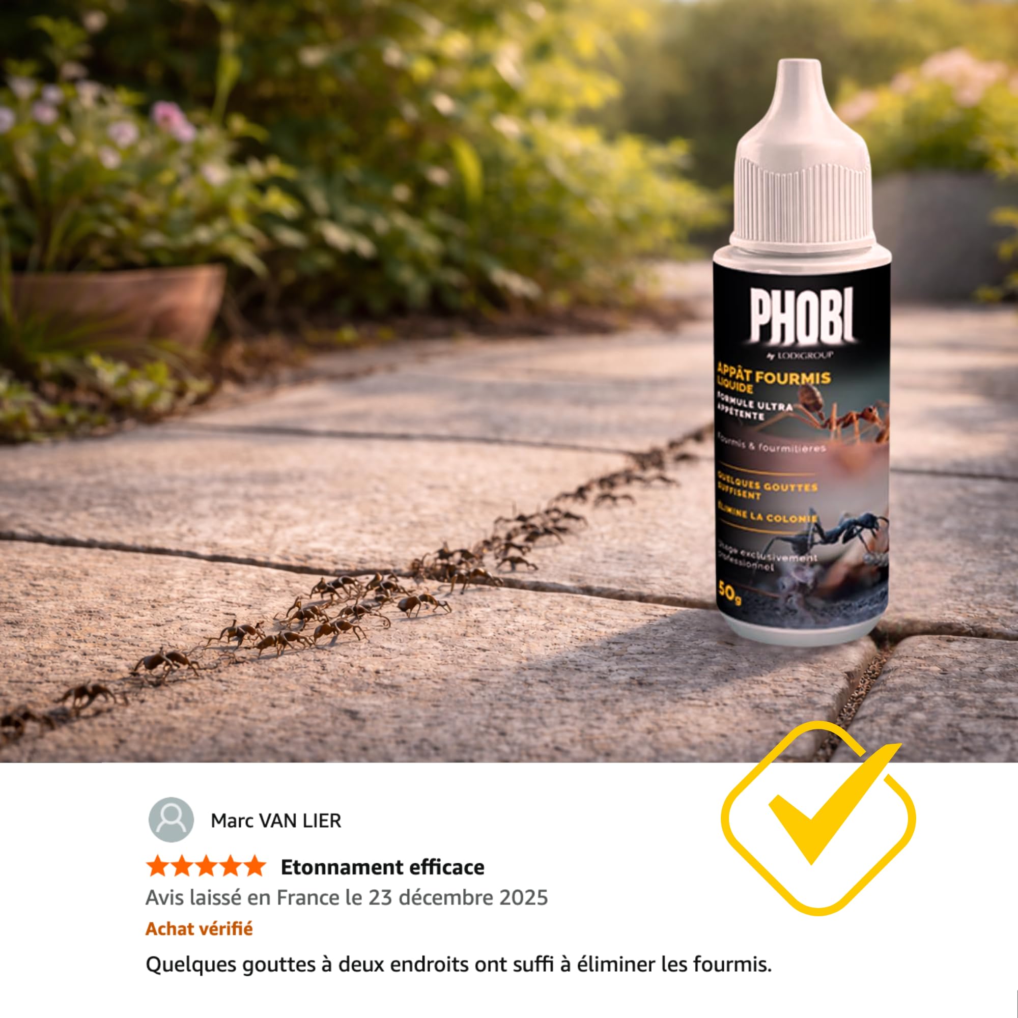 Raxit Appât liquide pour fourmis PHOBI 50 g – Élimination des colonies intérieures et extérieures – Résultats