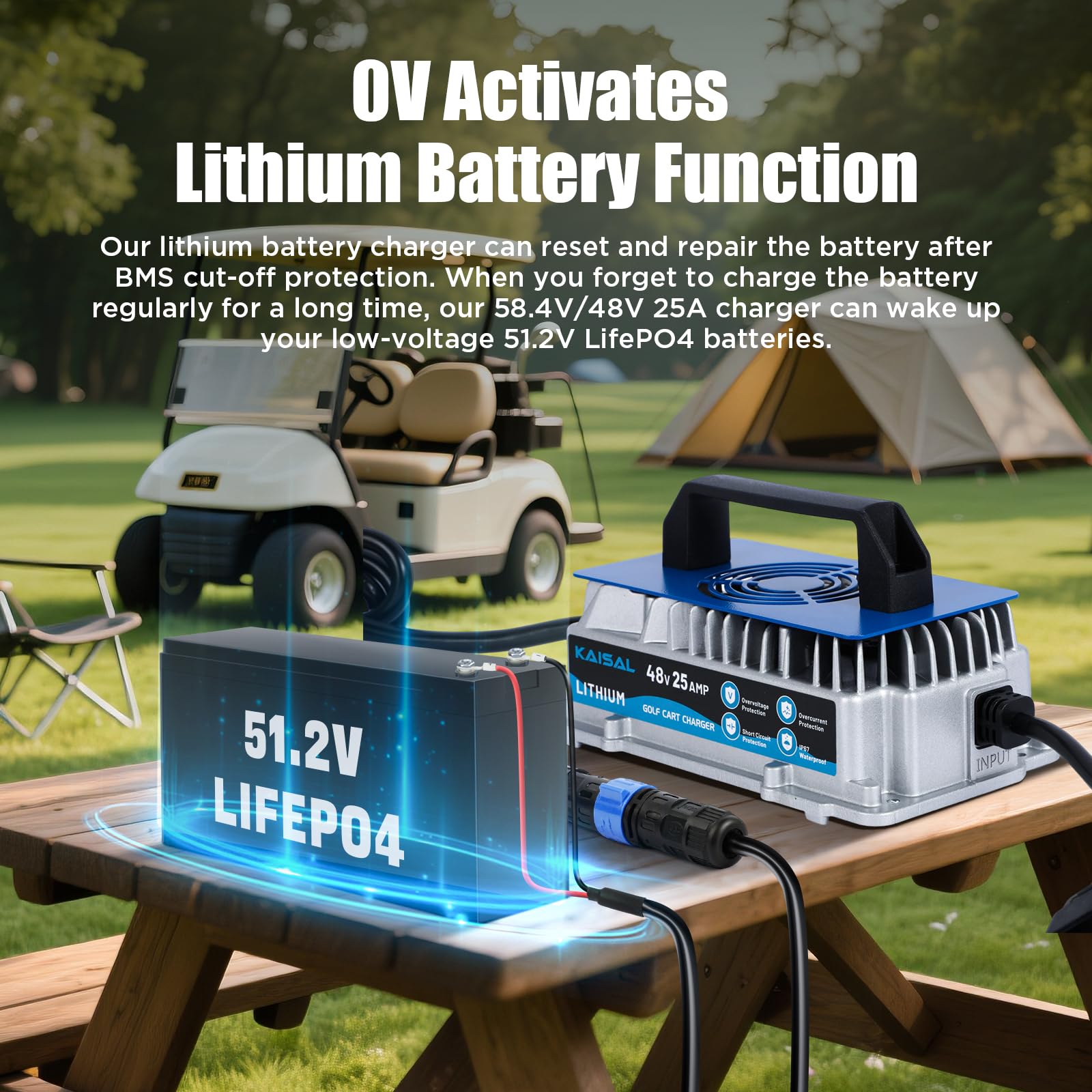 KAISAL 48V Cargador de baterías de Litio, Cargador LiFePO4 de batería 58.4V 25A, 1250 W, con Ventilador de refrigeración, para Carritos de Golf, Barcos, Autocaravanas y Solares. Impermeable IP67