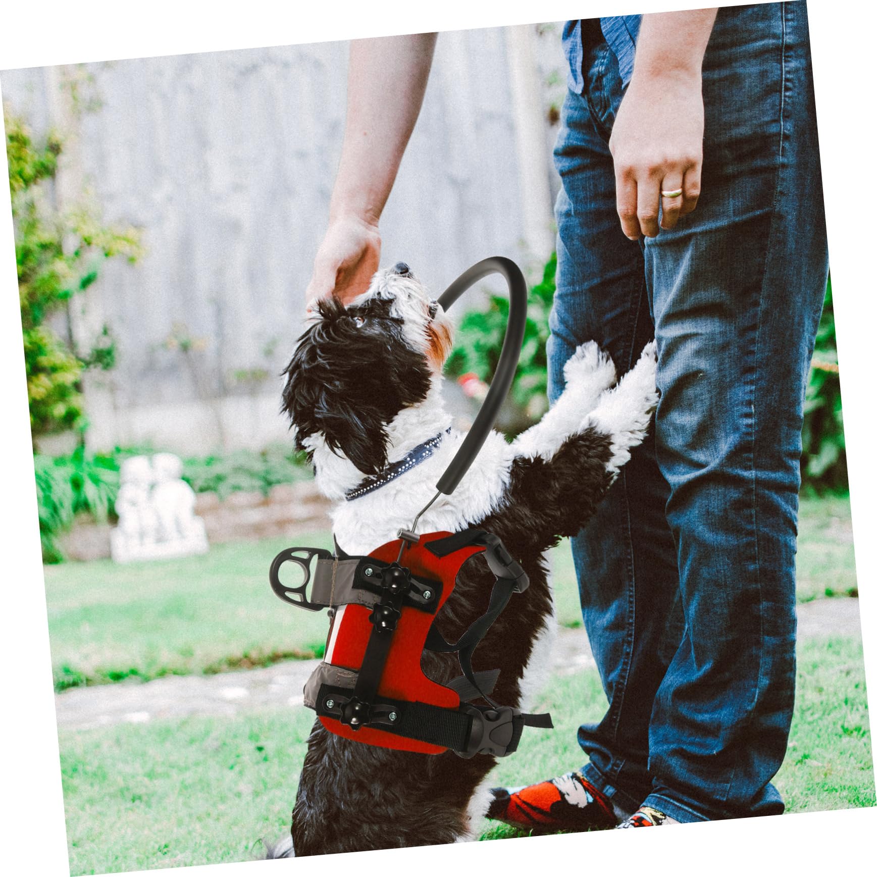 Gatuida Arnés para Perros Ciegos Ajustable Protección Anticolisión Guía de Equipo de Seguridad para Mascotas Ciegas para Paseos Diarios