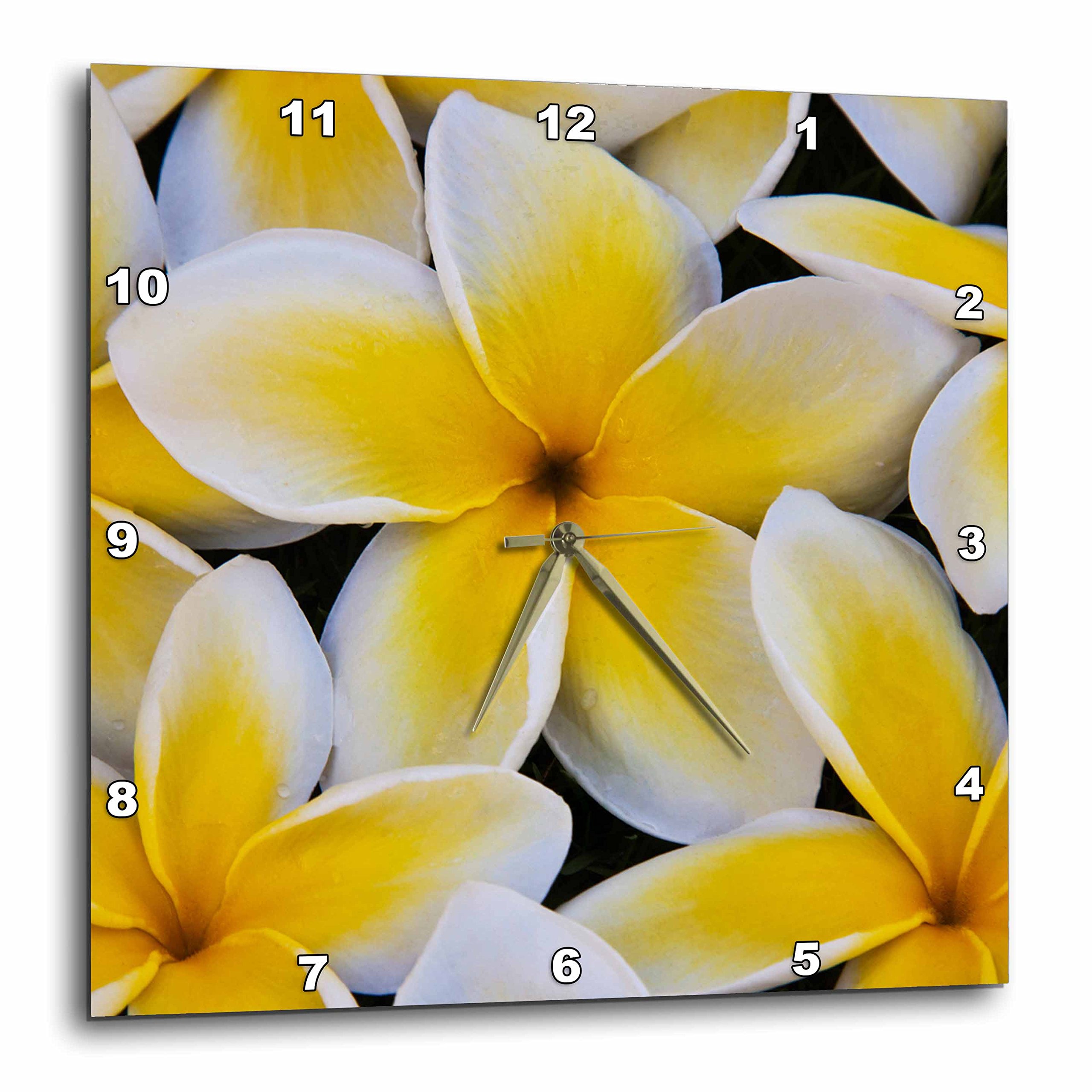 Horloge murale 33 cm avec grand cadran lisible et design épuré