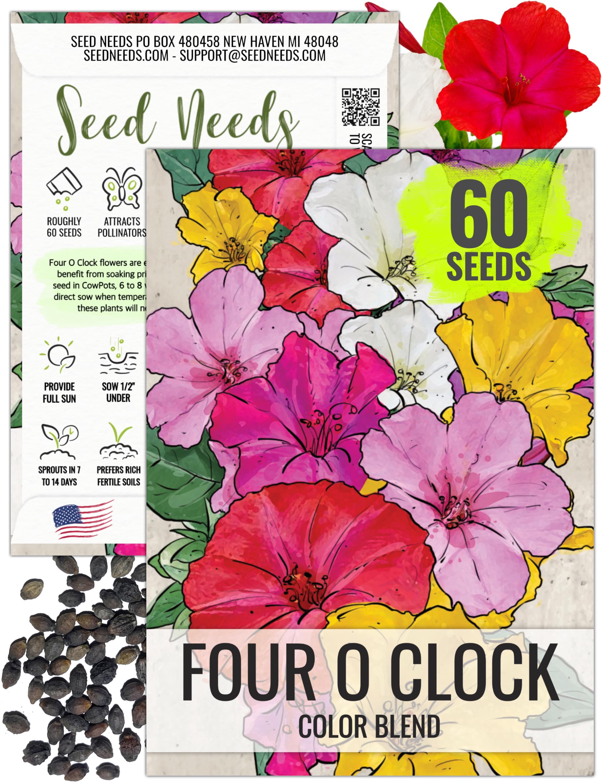 Amazon.com : Seed Needs Four O Clock Seeds for Planting Mixed Flowers -  Heirloom & Open Pollinated Annual Wildflowers to Attract Butterflies to a  Butterfly Garden (1 Pack) : Flowering Plants :