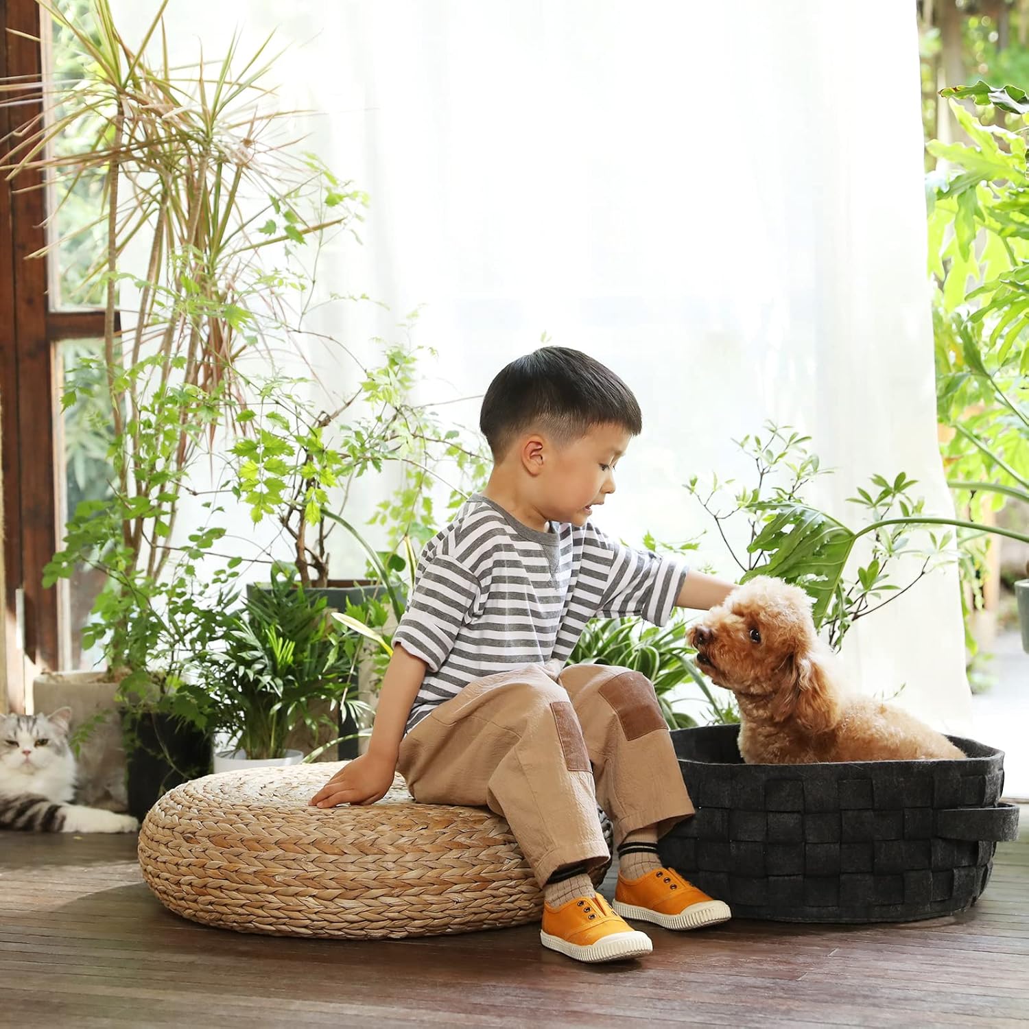 Cama Para Gatos Cueva Cama Donut Para Gatos - ¡Tu Minino Se
