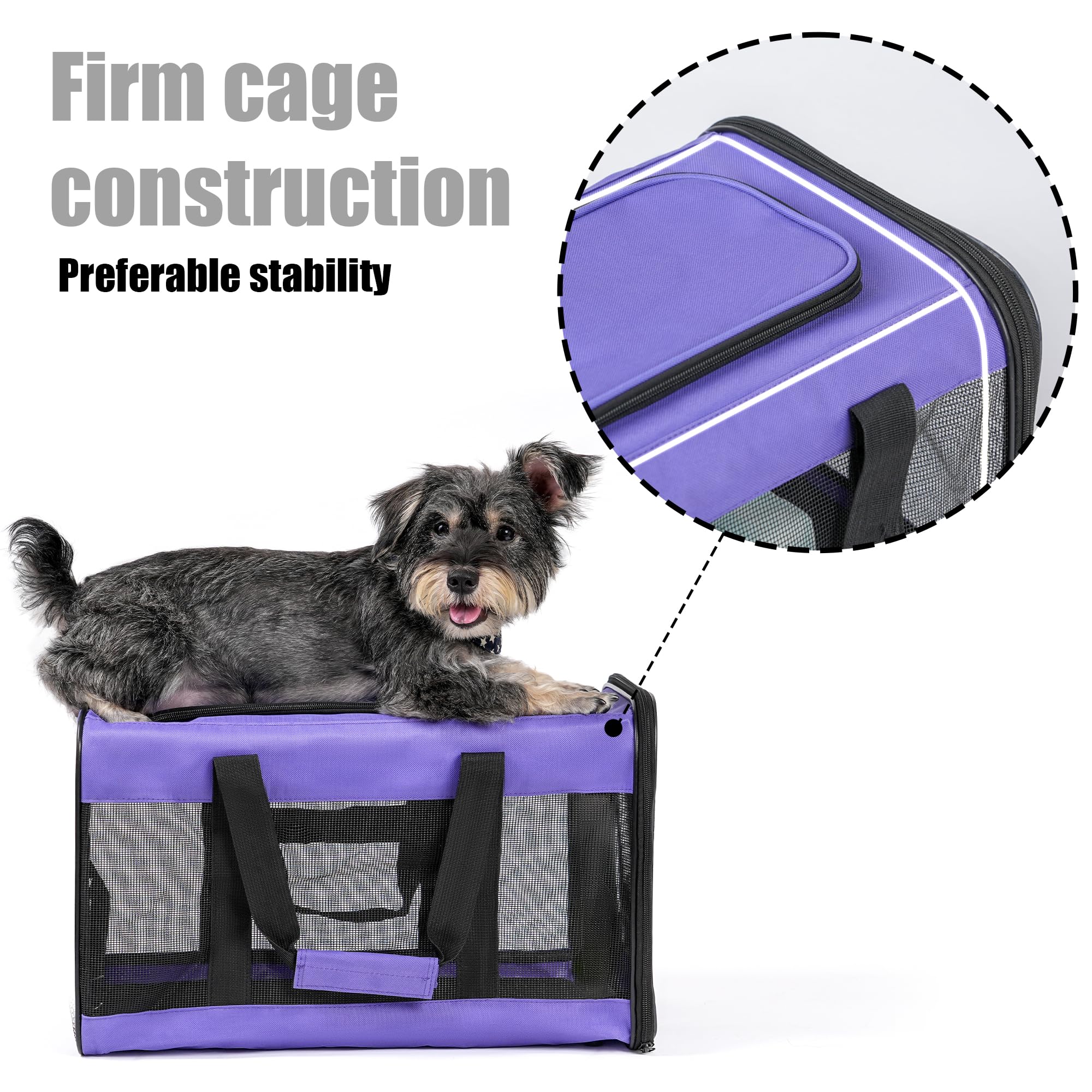 Hitchy Sac De Transport Chat/Sac De Transport Chien pour Chats, Petits Chiens, Chatons Ou Chiots, Souple et Pliable avec Tapis en Laine pour Voyage en Voiture et Train Violet (M)