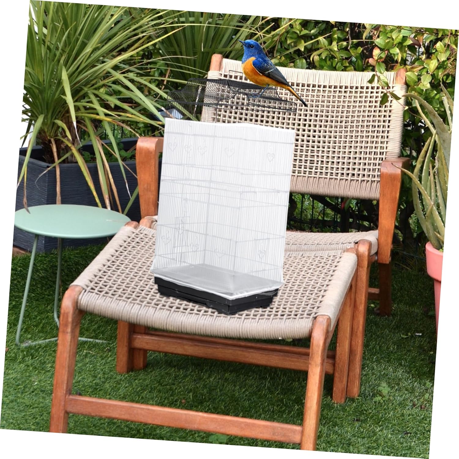 Angoily 3pcs Bird Cage Cover Splash Mesh Protector for Birds Easy to Install and Detach Elastic Design for for Parakeets Parrots and Cockatiels