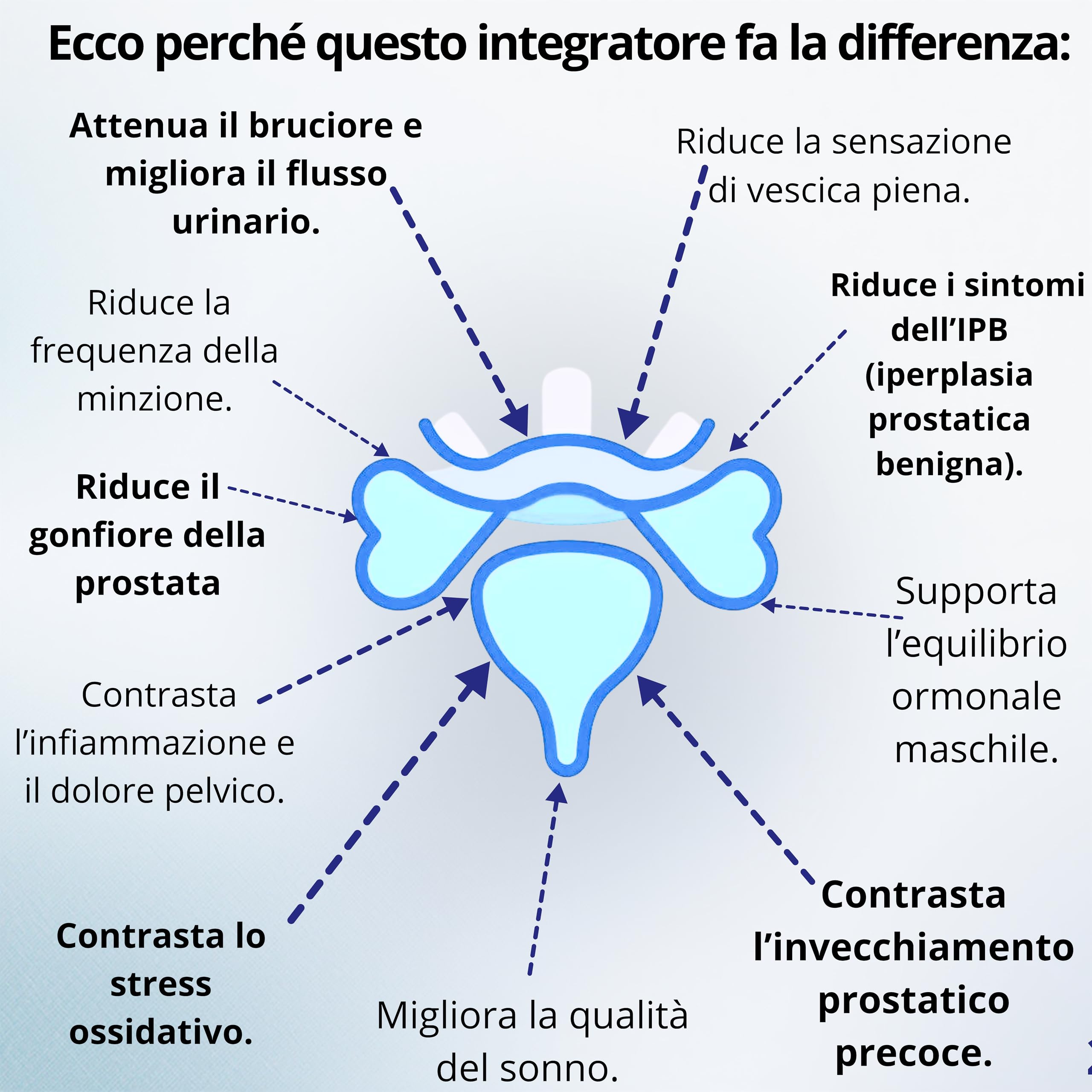 Integratore Prostata Uomo *a basse di SERENOA REPENS*(Saw Palmetto)* Epilobio* Orthosiphon* Zinco* Selenio* Magnesio Bisglicinato*Vitamina C e D3* 120 Capsule* Formula Potente con 8 Estratti Naturale