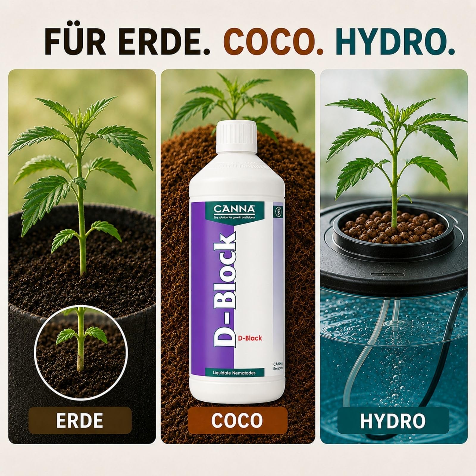 Weedness Canna Dünger D-Block 1 Liter - Grow Anbau Indoor Outdoor Tomaten Flüssig Orchideen Bonsai Bio Organischer Zimmerpflanzen