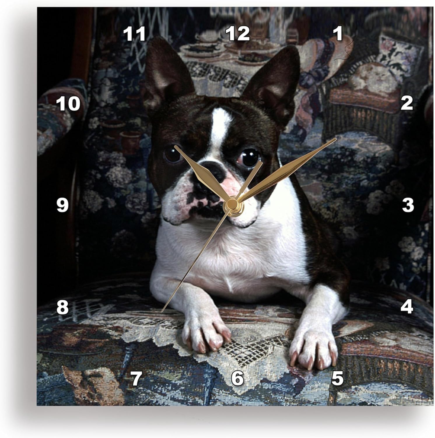 3dRose DPP_3112_3 Boston Terrier Philippe Wall Clock, 15 by 15-Inch