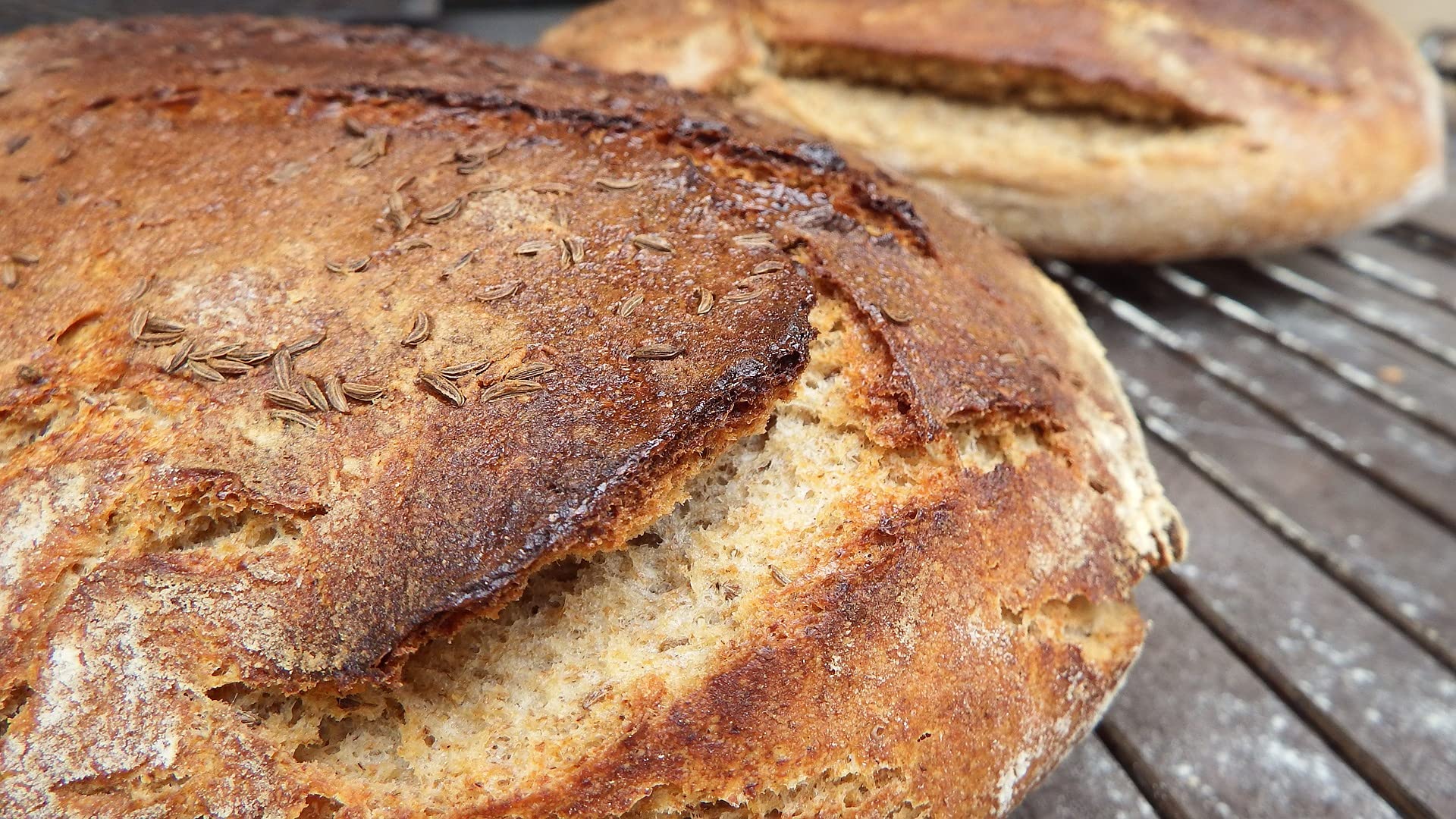 Fresco biologico, lievito naturale e farro, set per cuocere il pane, pasta naturale – pane croccante fai da te con istruzioni (lingua italiana non garantita)