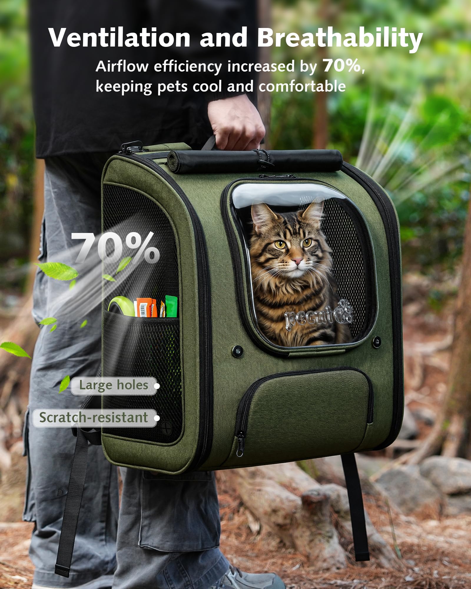 https://m.media-amazon.com/images/I/812QnyW-YQL.jpg