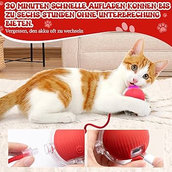 Interactive Cat Toys for Indoor Cats - Interactive Puppy