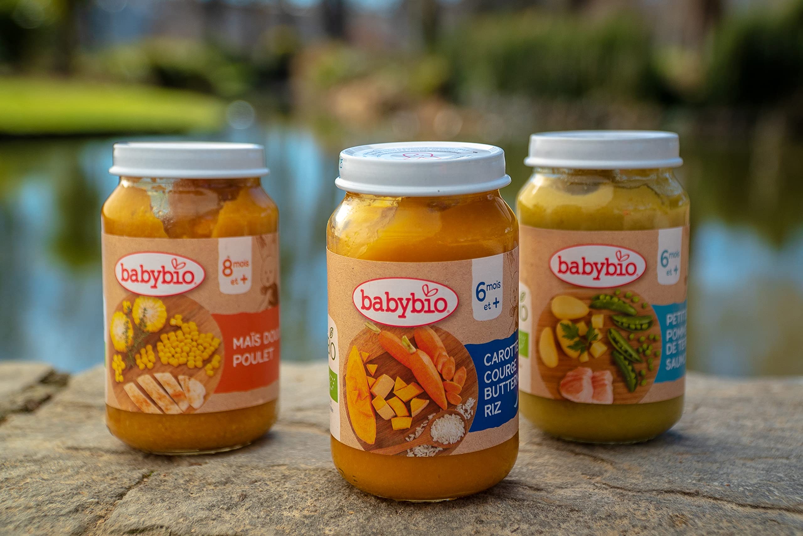 Babybio - Bonne Nuit - Petits Pots Carotte des Landes Butternut Riz 2x200g - PACK de 6 - 6Mois - BIO