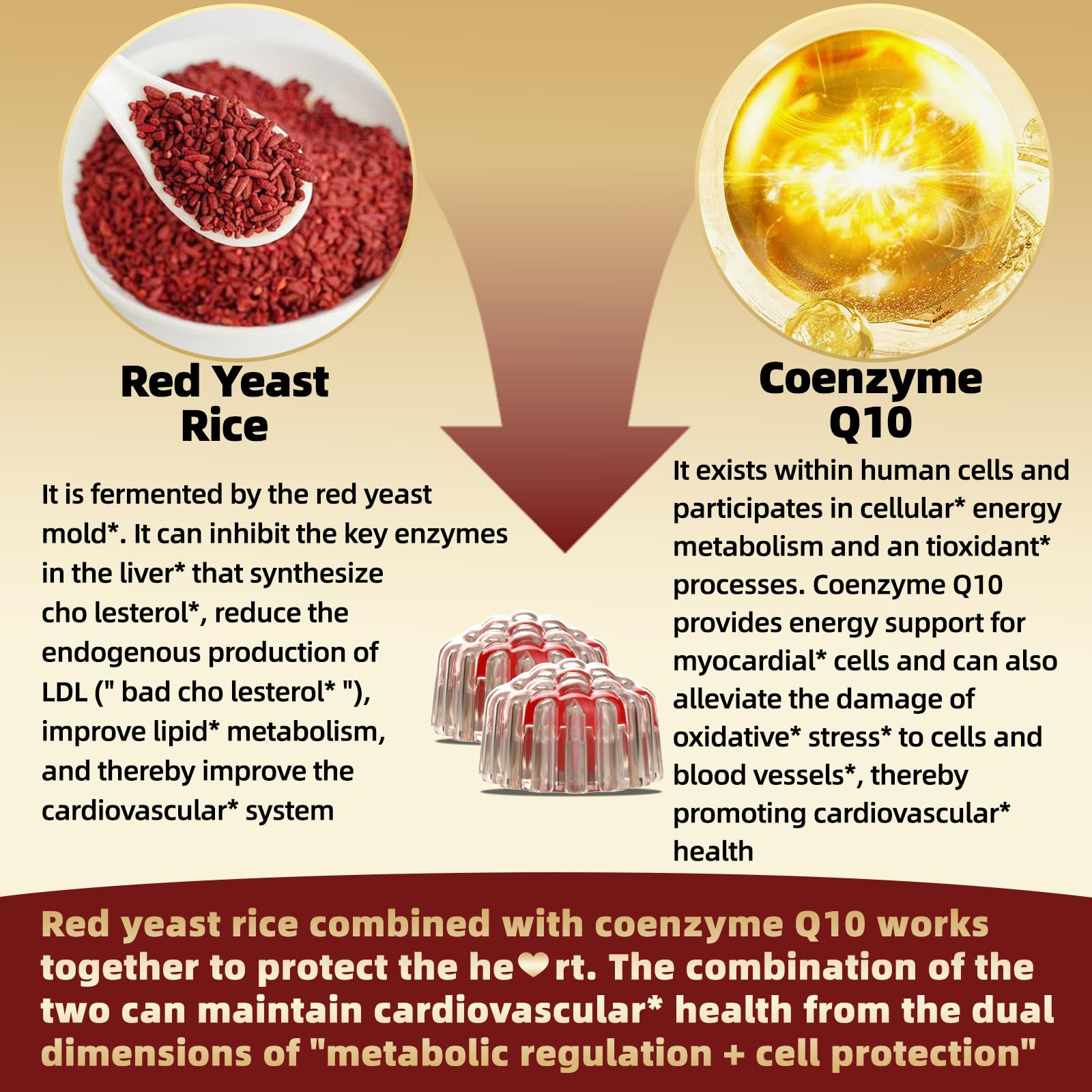 Red Yeast Rice with CoQ10 Gummies, 2400mg Red Rice Yeast Gummy, 200mg CoQ10 — Amazon image 2