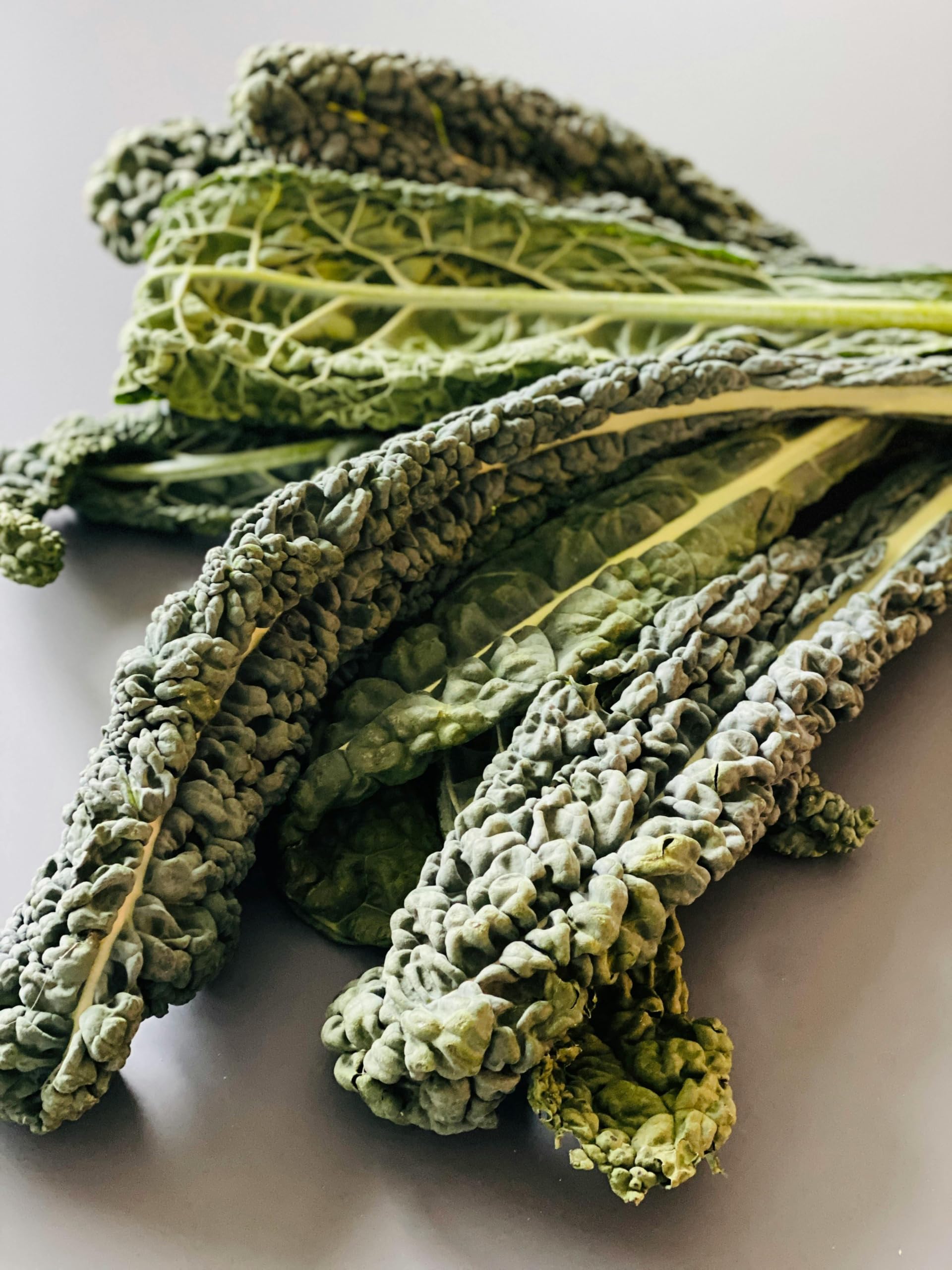 Tony's Organics Organic Cavolo Nero Plug Plants, Chemical-Free, Pack of 6