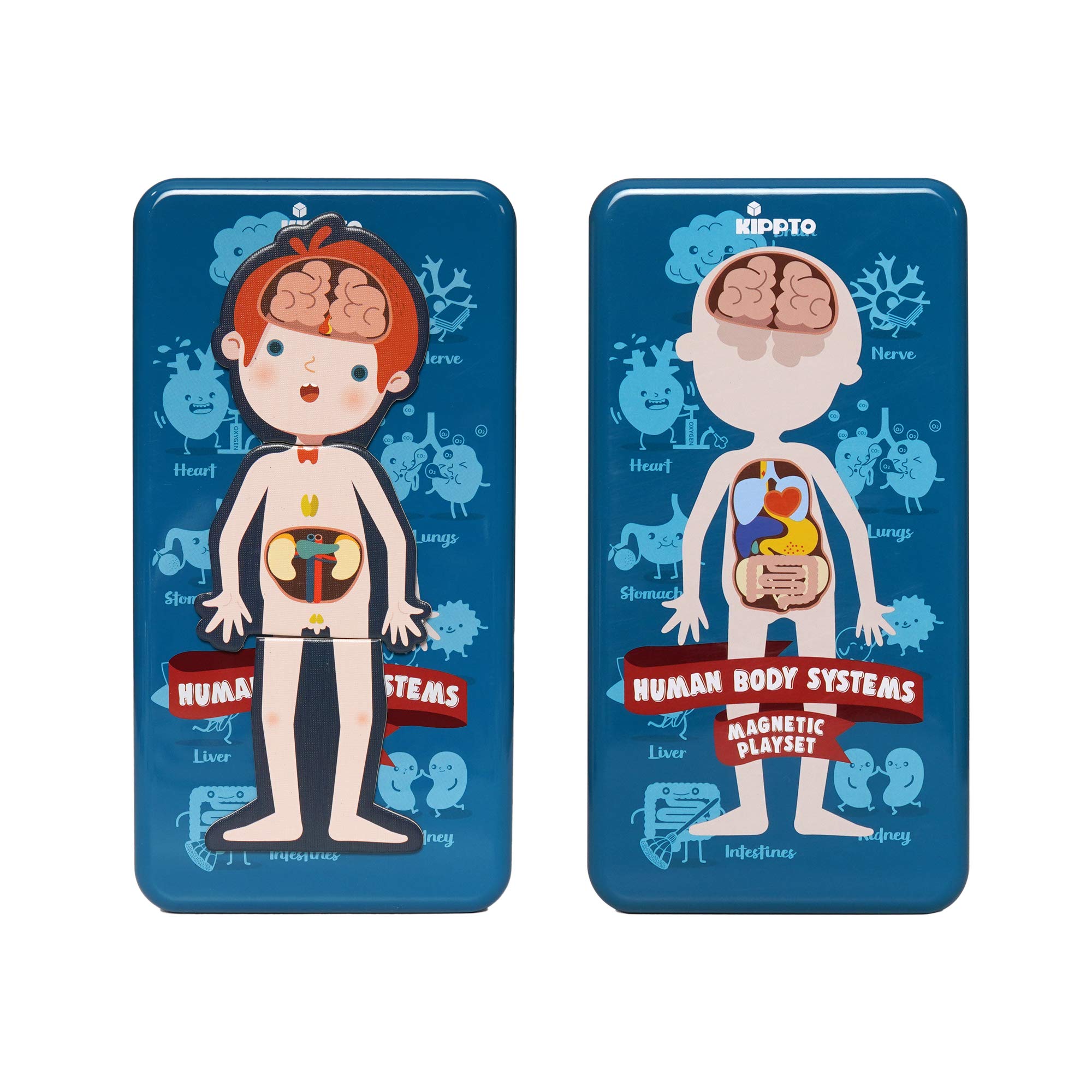 Buy Kippto Puzzle Human Body System DressUp Playset, for 4