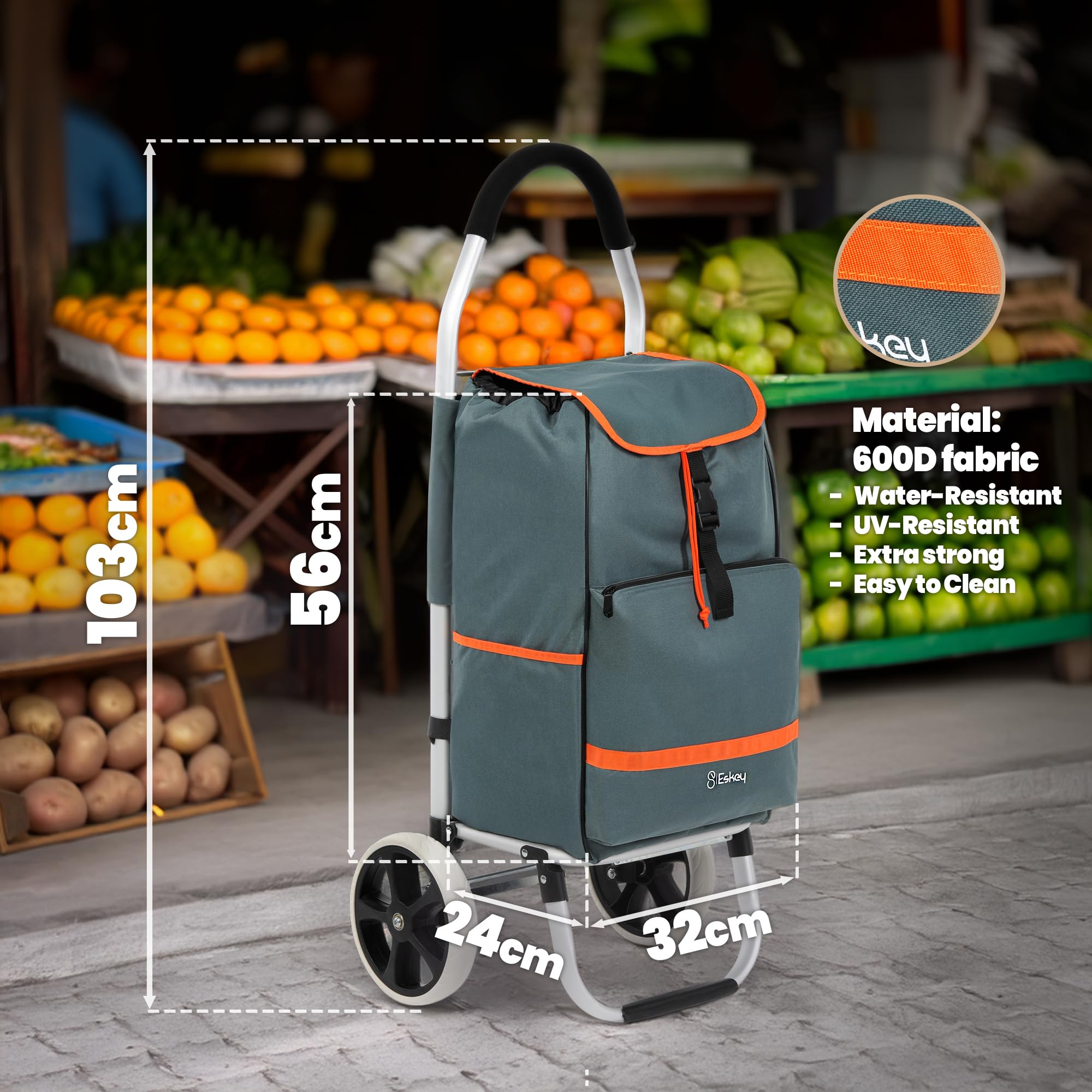 Eskey Trolley per la spesa con vano frigorifero, robusto trolley pieghevole, impermeabile, 50 l, grigio