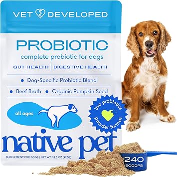 Native Pet Probiotics for Dogs Dog Probiotic Powder for Gut & Digestive Health, Vet-Formulated 6B CFUs Dog-Specific Probiotic Strains, Supports Stool Quality & Diet Transitions 240 Scoops