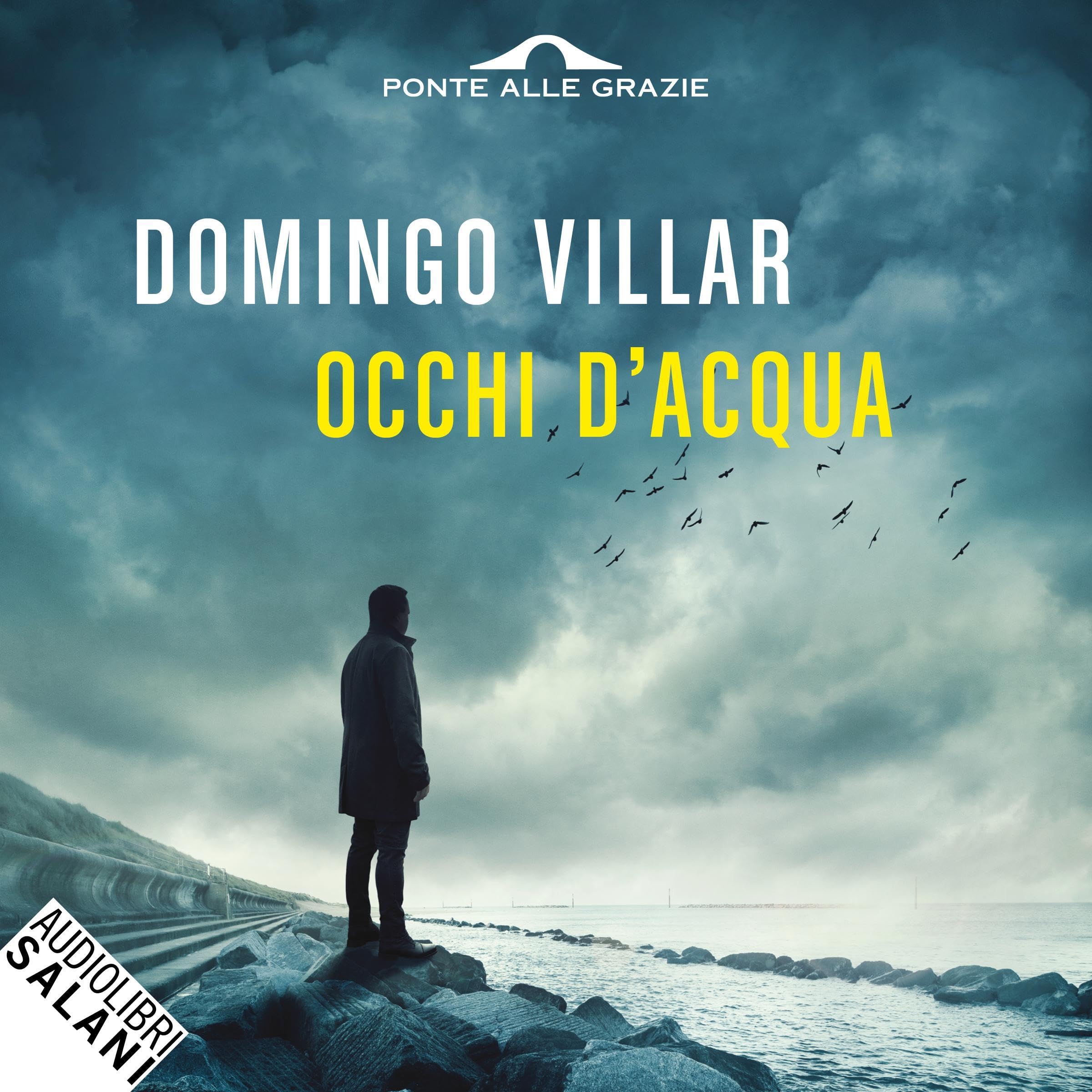 Occhi d'acqua: Le indagini di Leo Caldas, Vol. 1