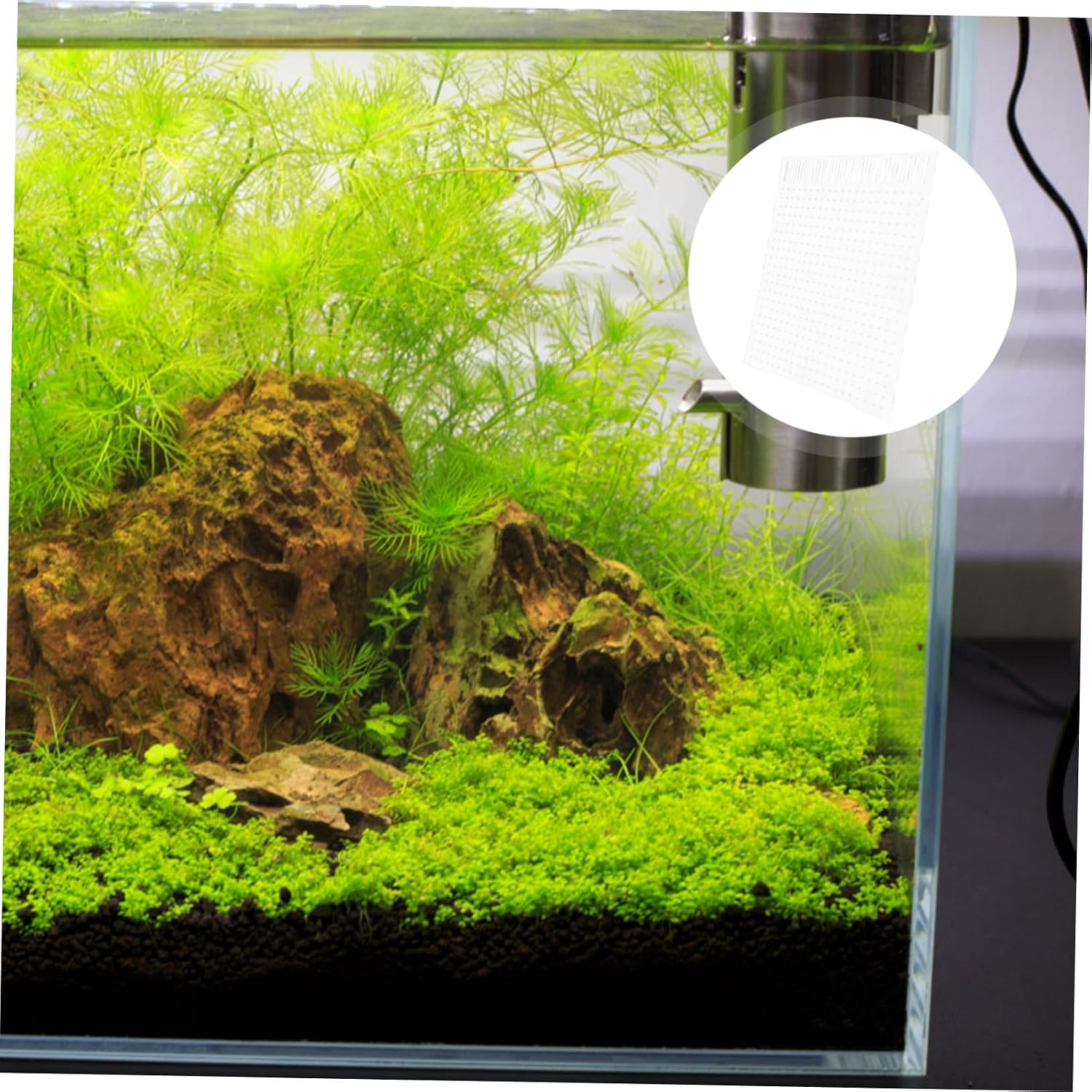Milisten Fish Tank Divider Panel Acrylic Separator for Aquariums Easy to Install Cups for Enhanced Water Permeability