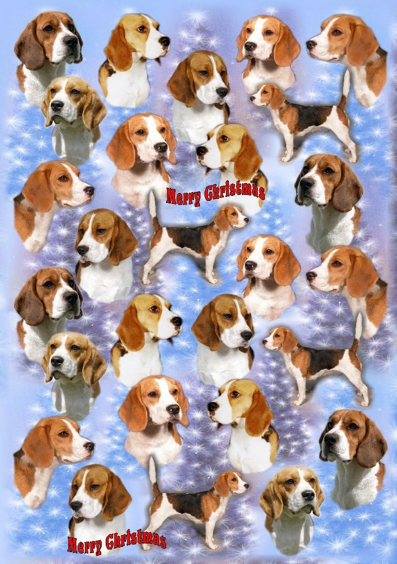 beagle wrapping paper