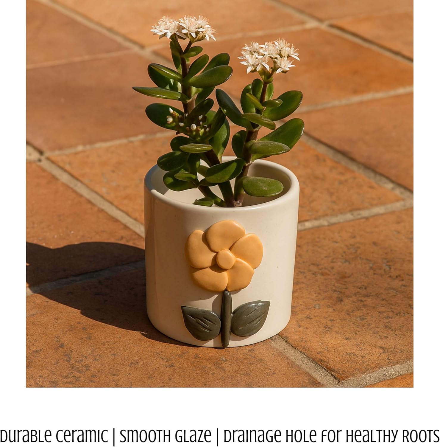 Ceramic Succulent Planter Pot with Drainage Hole, Cute 3D Floral Design Small Indoor Plant Pot for Desk, Windowsill & Table Decor, Modern Round Mini Flower Pot for Cactus & Succulents – Set of 2