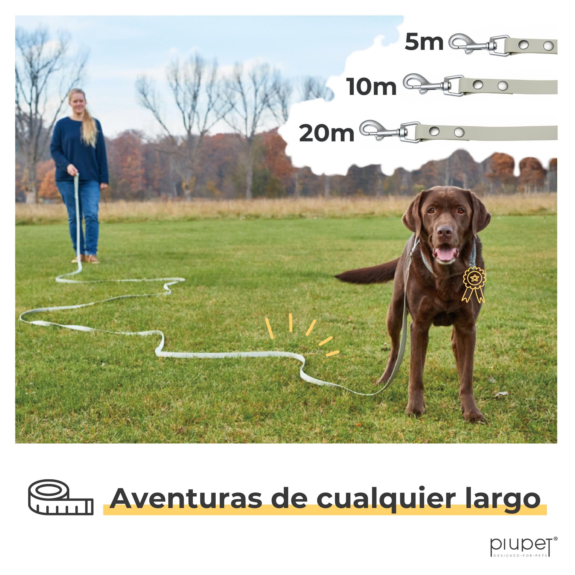 PiuPet® Correa de Adiestramiento para Perros | 5m, 10m, 20m | Repelente al Agua | Correa de Remolque | Larga | para Perros Grandes | Gris