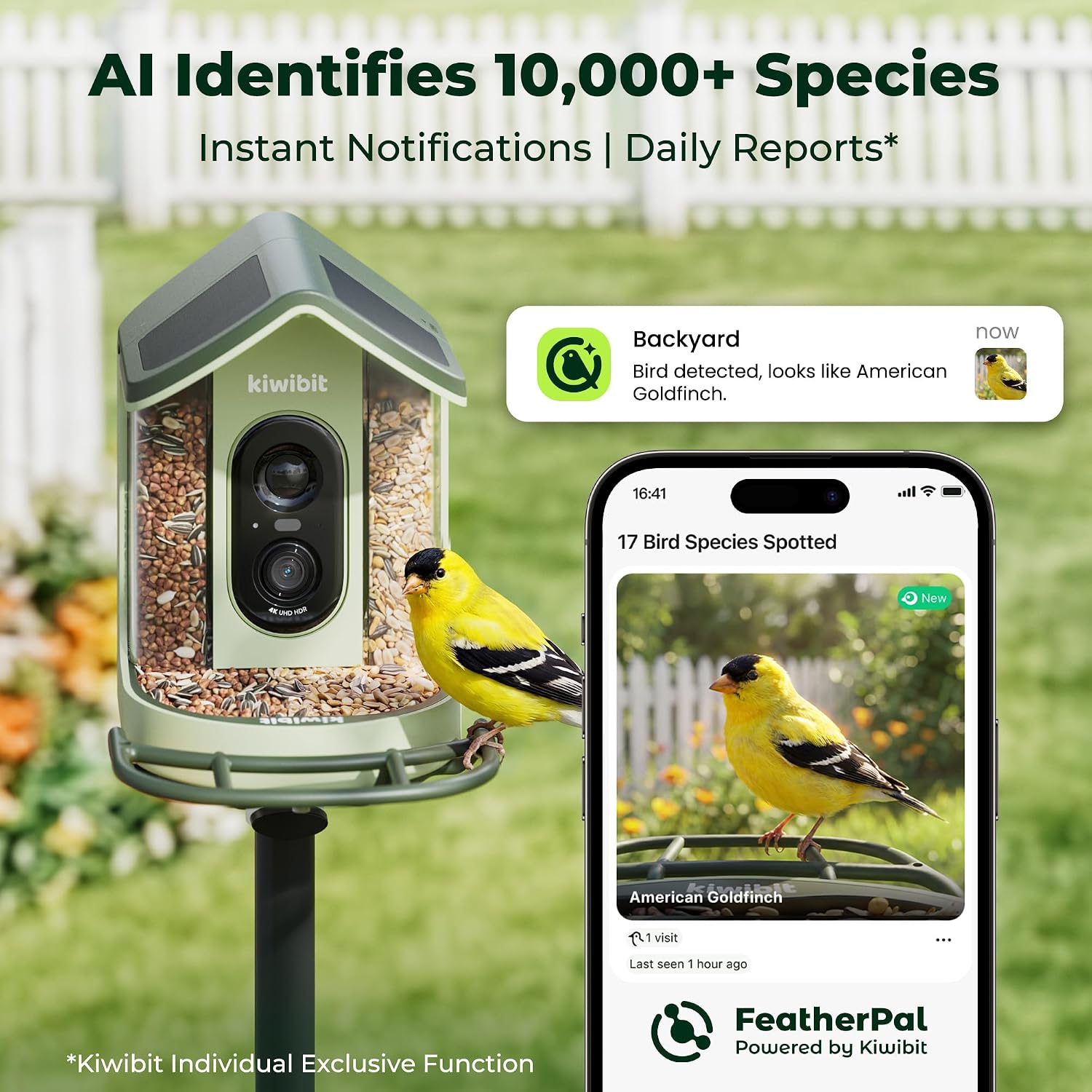 Kiwibit Solar Powered Smart Bird Feeder with Camera 2 Mini, 4K Live Stream