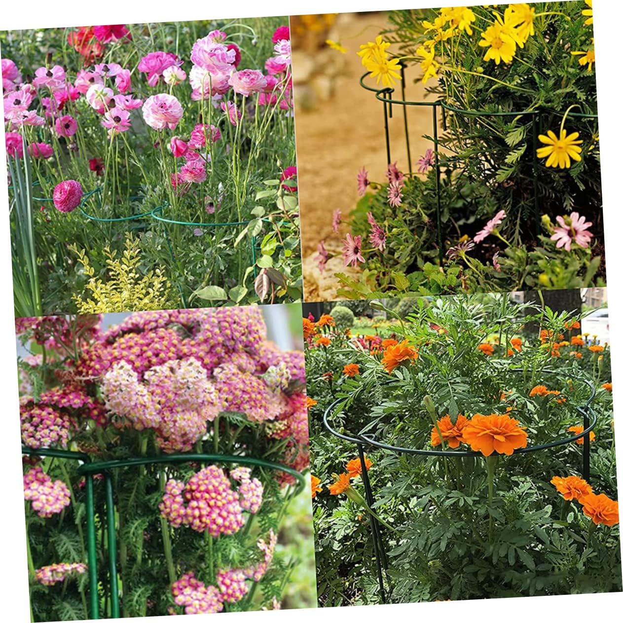 6pcs Shaped Metal Plant Trellis Sturdy Support for Climbing Plants for Use for Vines Garden Decoration