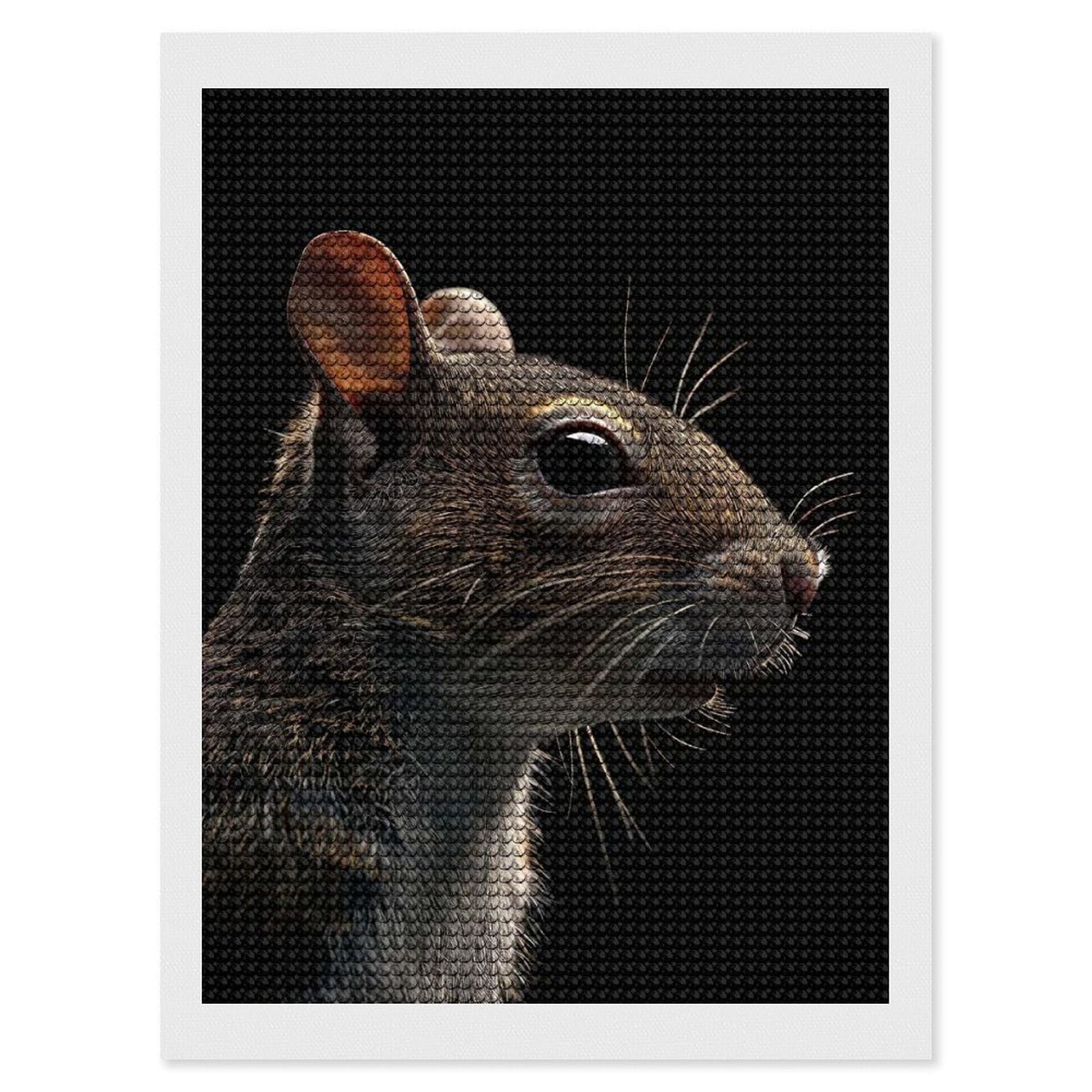Junmoney Squirrel Diamond Art Kit 12"x16", Bedroom Decor, Adhesive Canvas, Full Kit Included, Thoughtful Present, Birthday Gift