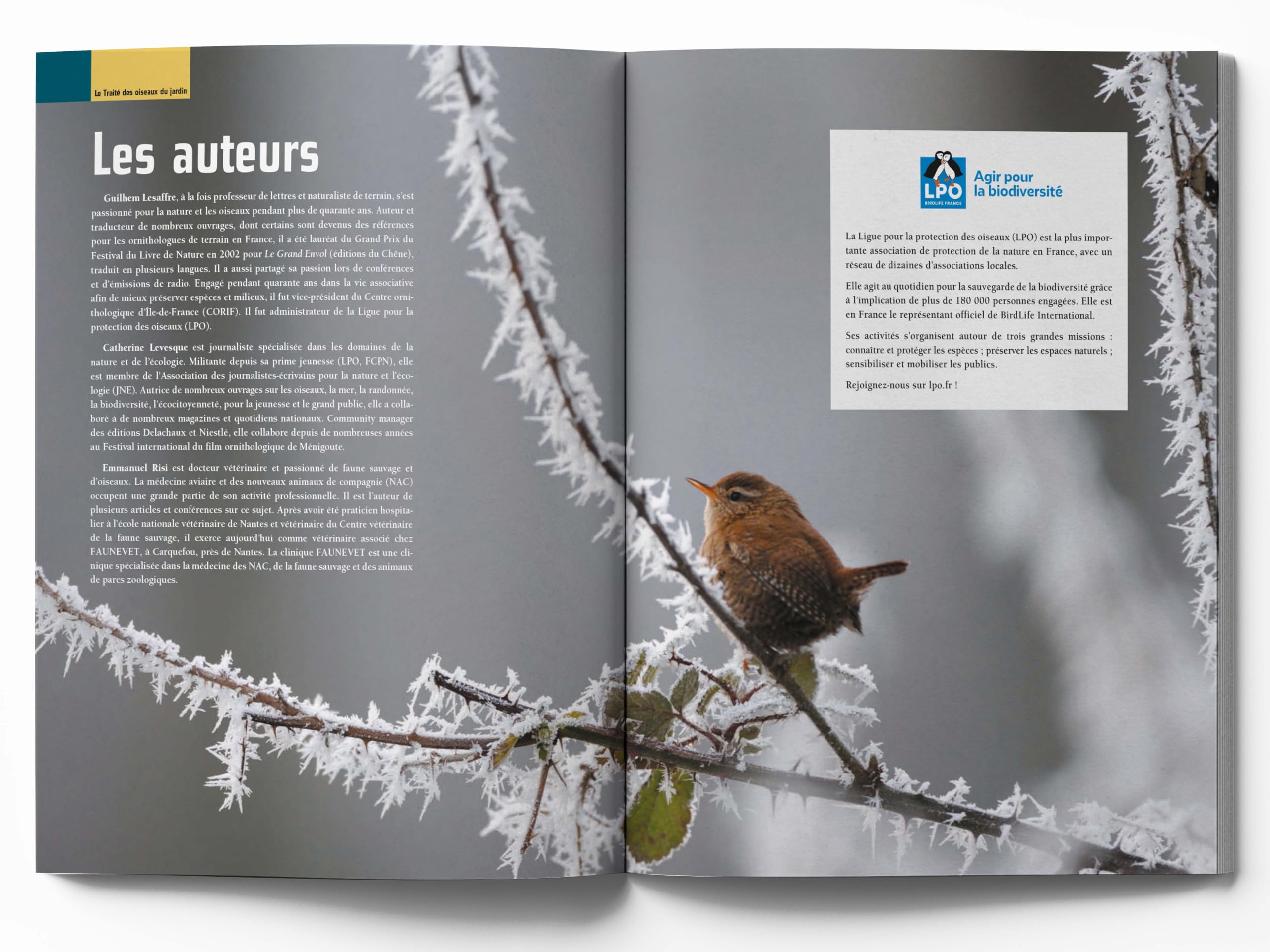 Le traité Rustica des oiseaux: Des jardins, des bois et des campagnes