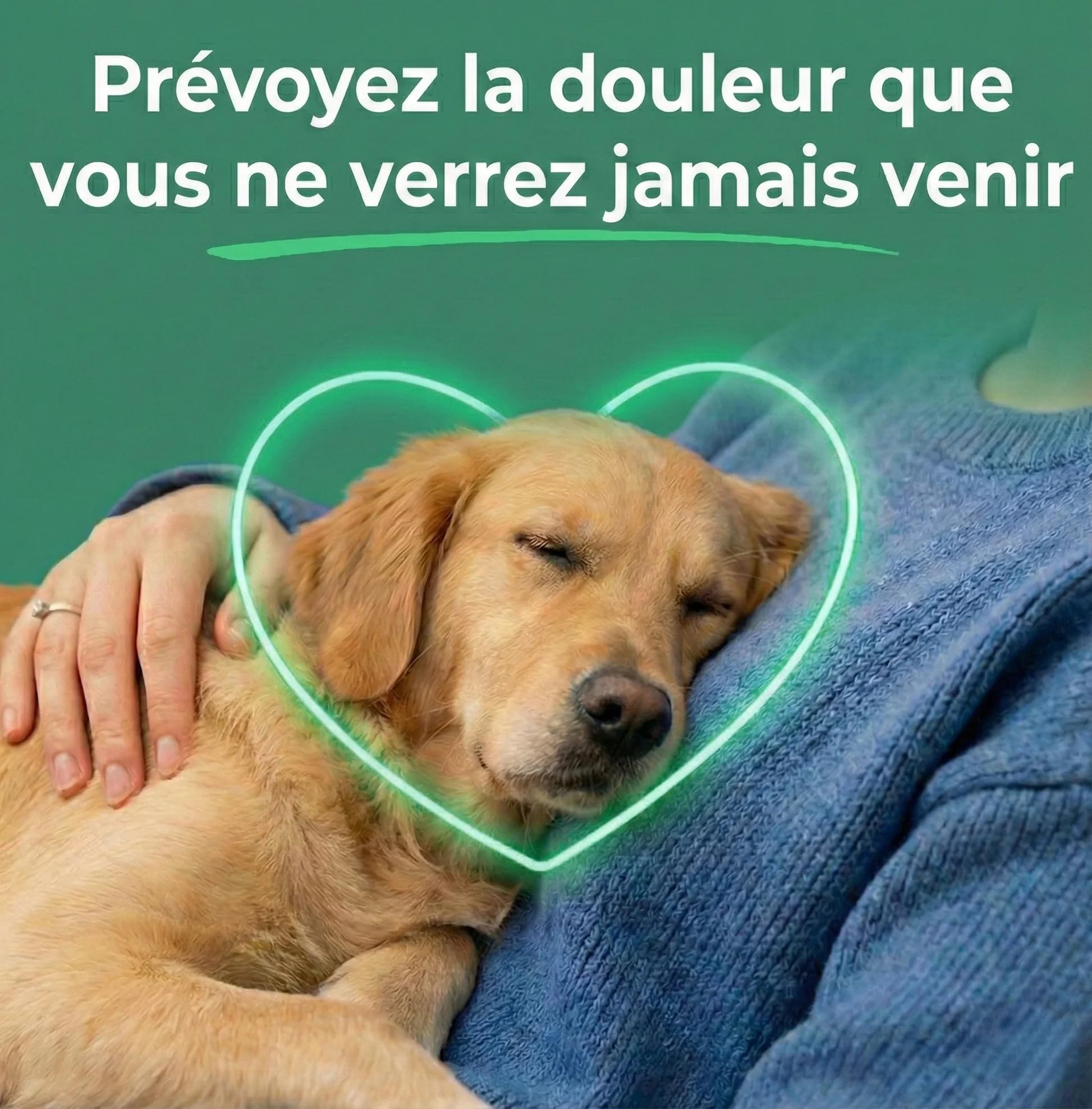 PurCanin Collagène Liquide pour Chiens, Supplément Peau, Pelage et Articulations, Soulage Démangeaisons et Peau Sèche