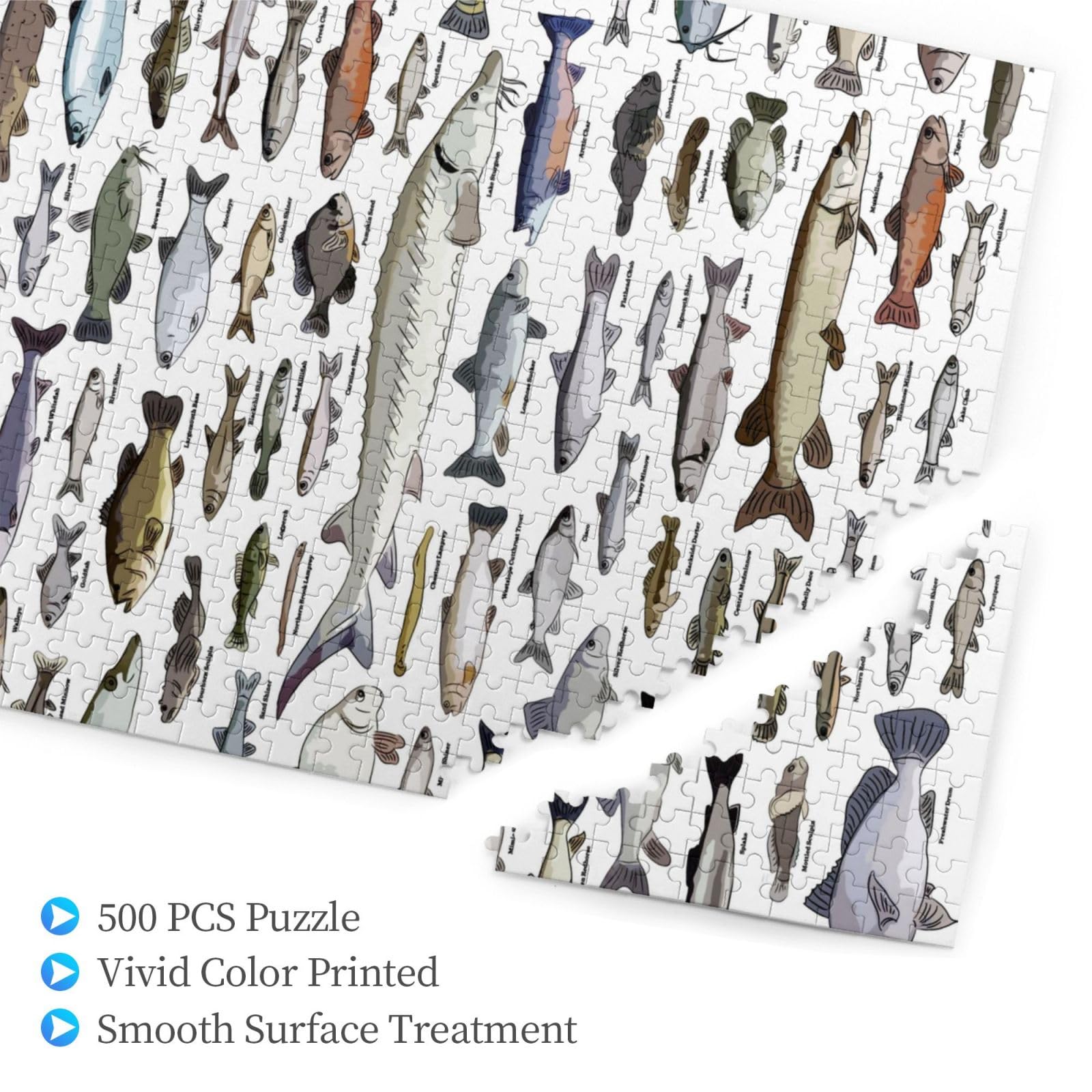 Amazon.co.jp: ジグソーパズル 500ピース 魚の品種 面白い魚 木製 環境