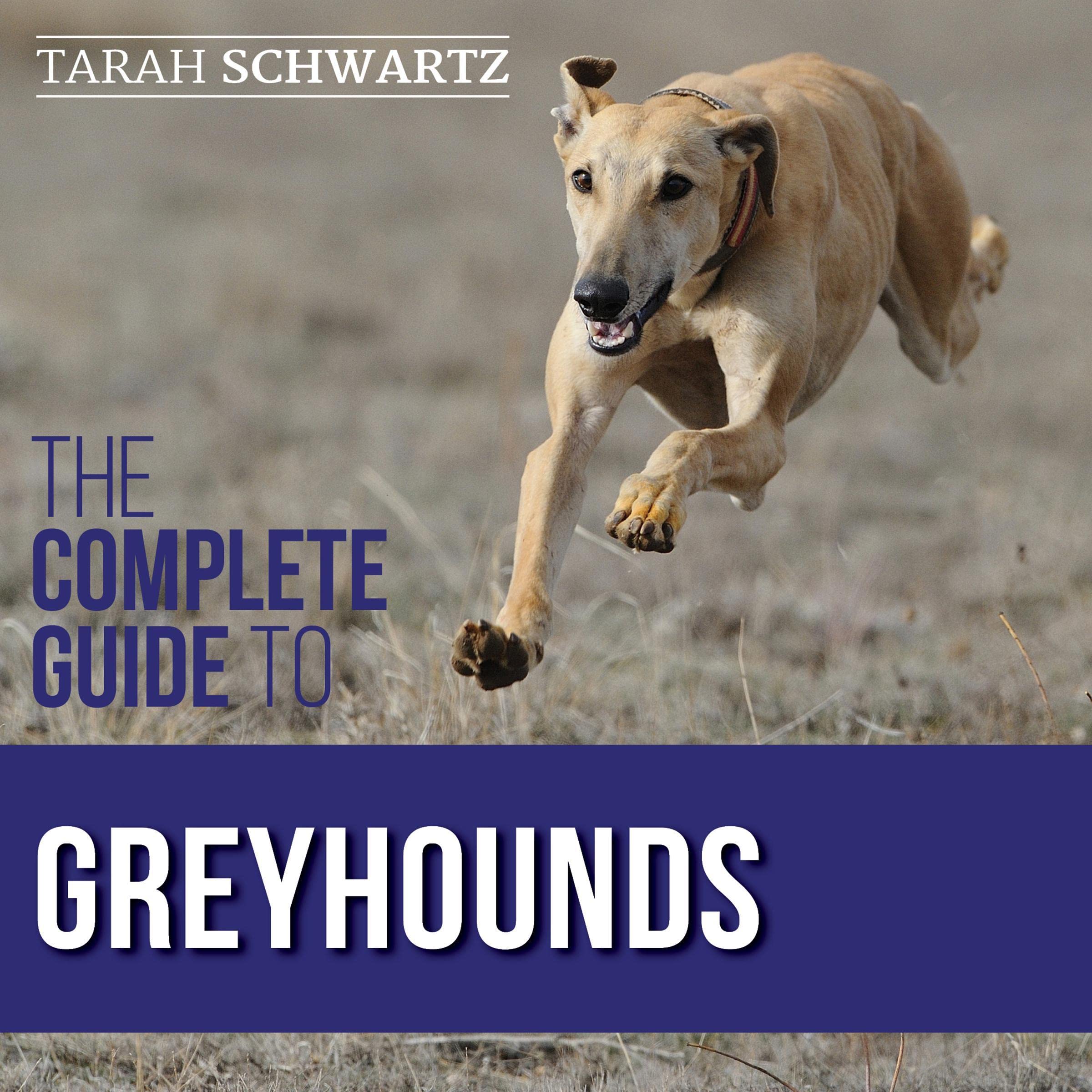 The Complete Guide to Greyhounds