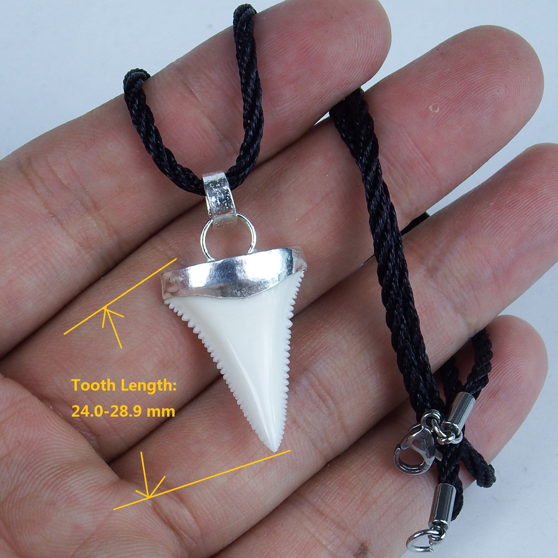 GemShark Handmade Shark Tooth Necklace 