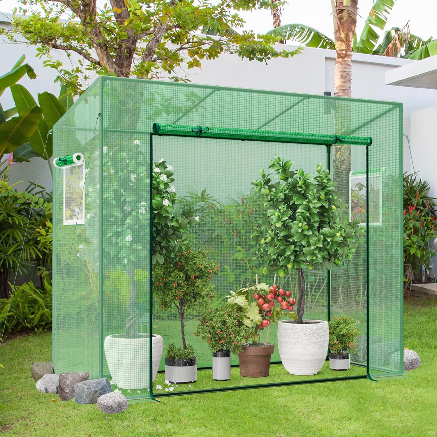 Happygrill Mini Greenhouse, Walk-in Greenhouse w/PE Cover, 4 Wind Ropes & Ground Stakes, Roll-up Zipper Door, Double-Layer Screen Windows, Portable Small Greenhouses for Outdoors, 6.6 x 2.5 x 5.6 FT