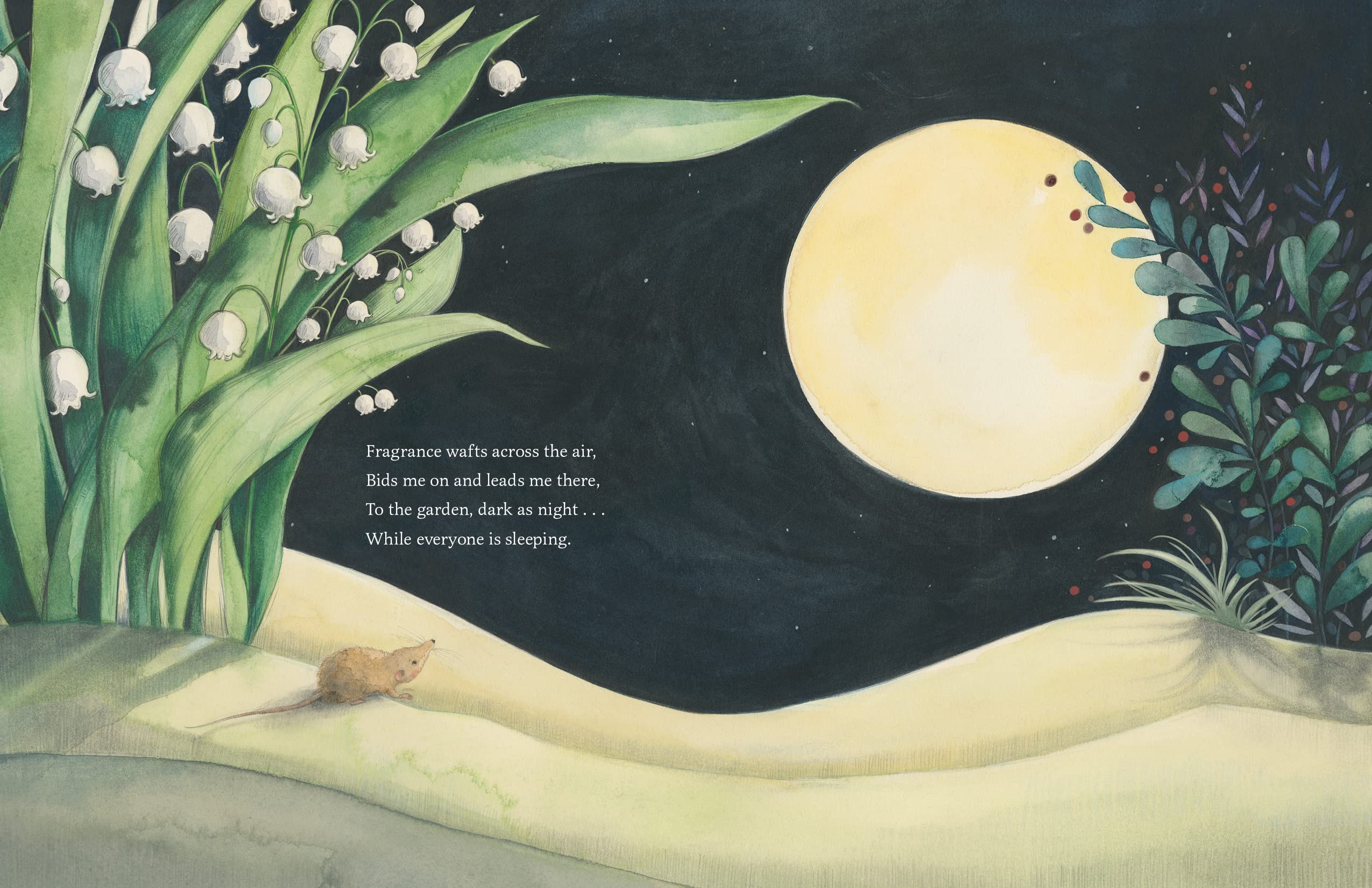 While Everyone Is Sleeping - Image 5