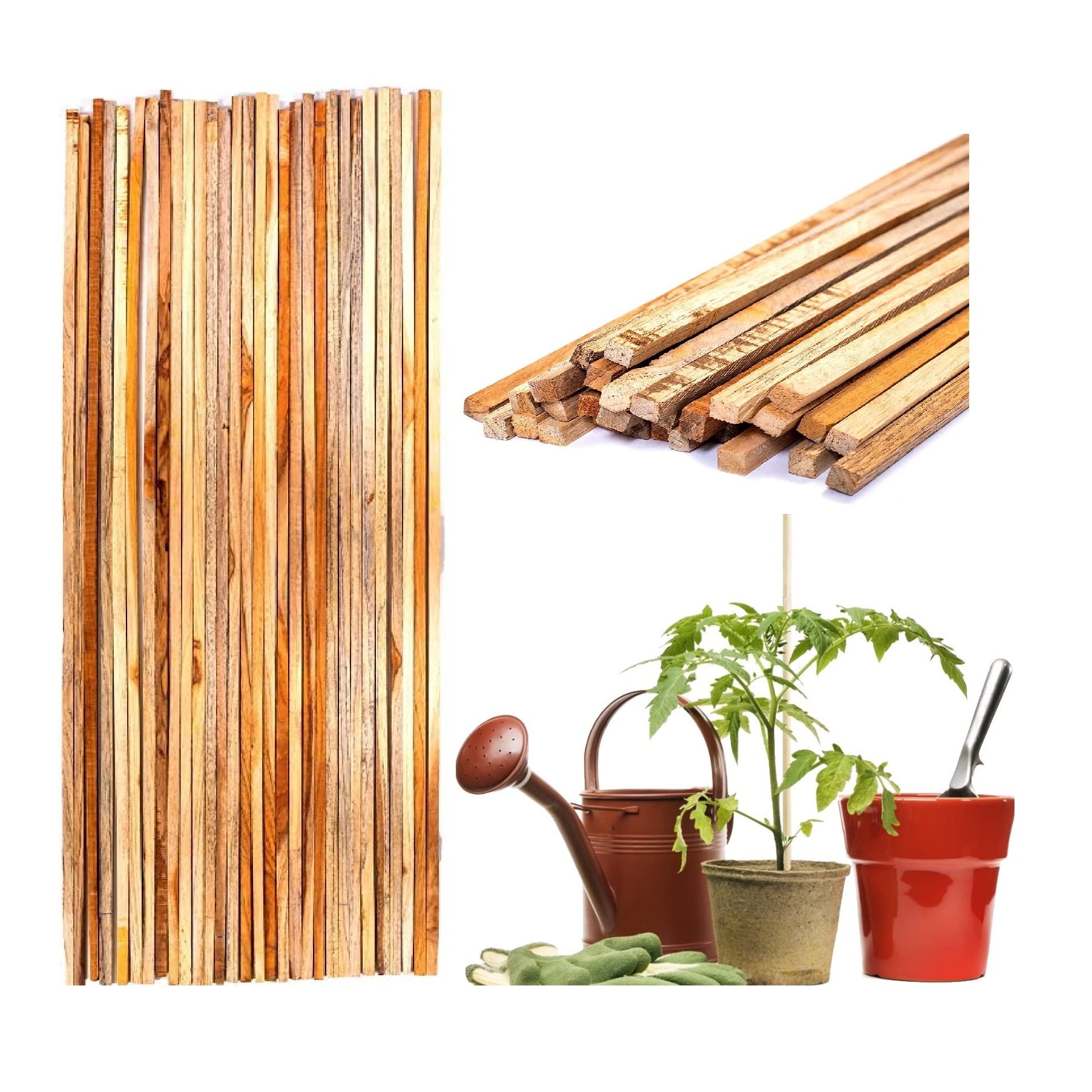 KERQOOR Natural Teak Wooden Support Sticks for Plant Support Height 3 Feet Pack of 24 Piece Long|Climbers Support for Live Plant Indoor and Outdoor Gardening