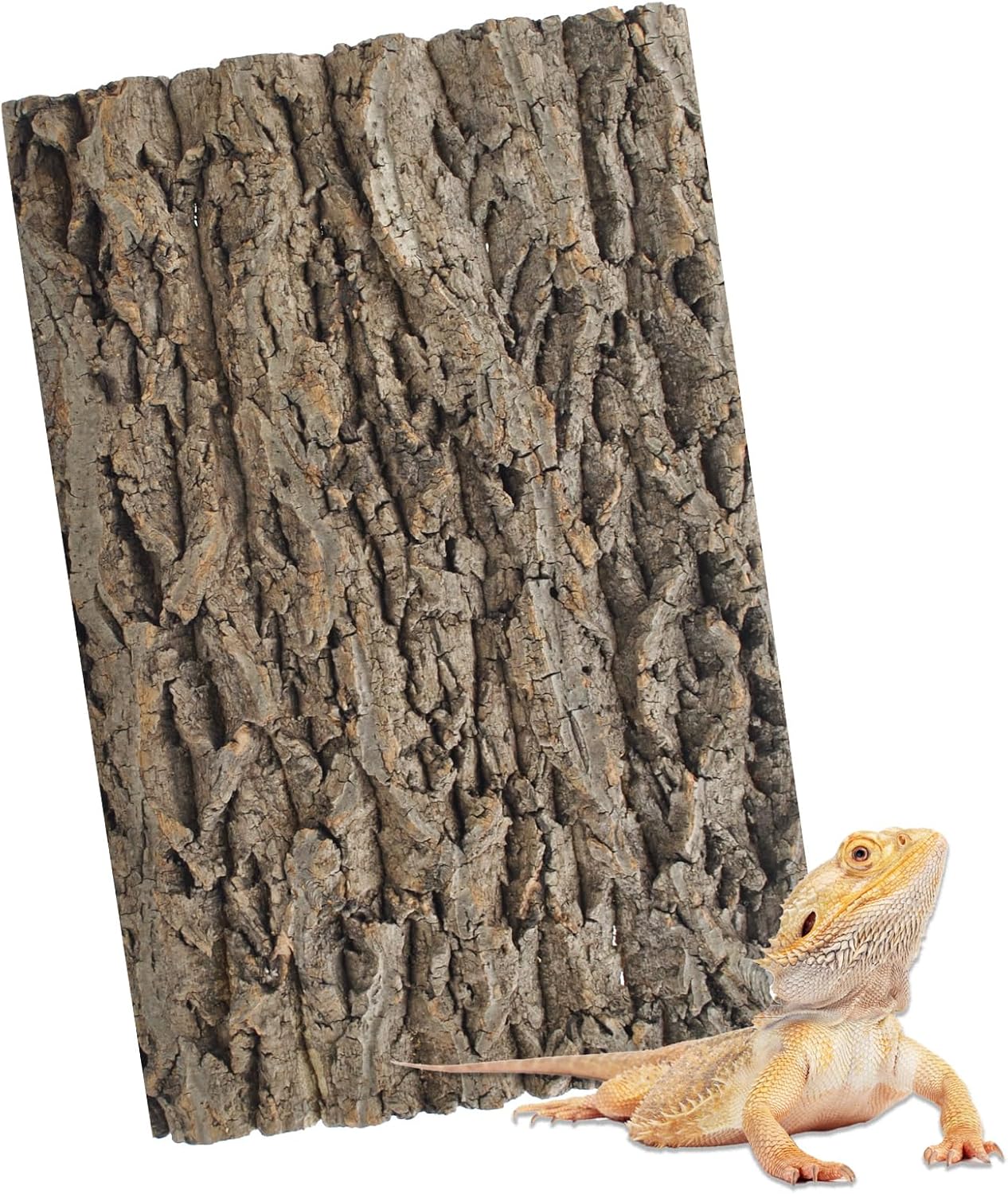 PINVNBY Natural Cork Bark Terrarium Background,15.74×11.81 Inches Reptile Tank Backdrop 3D Bearded Dragon Tank Climbing Wall Habitat Decor for Gecko Lizard Tortoise Frog Chameleon(1 PCS)