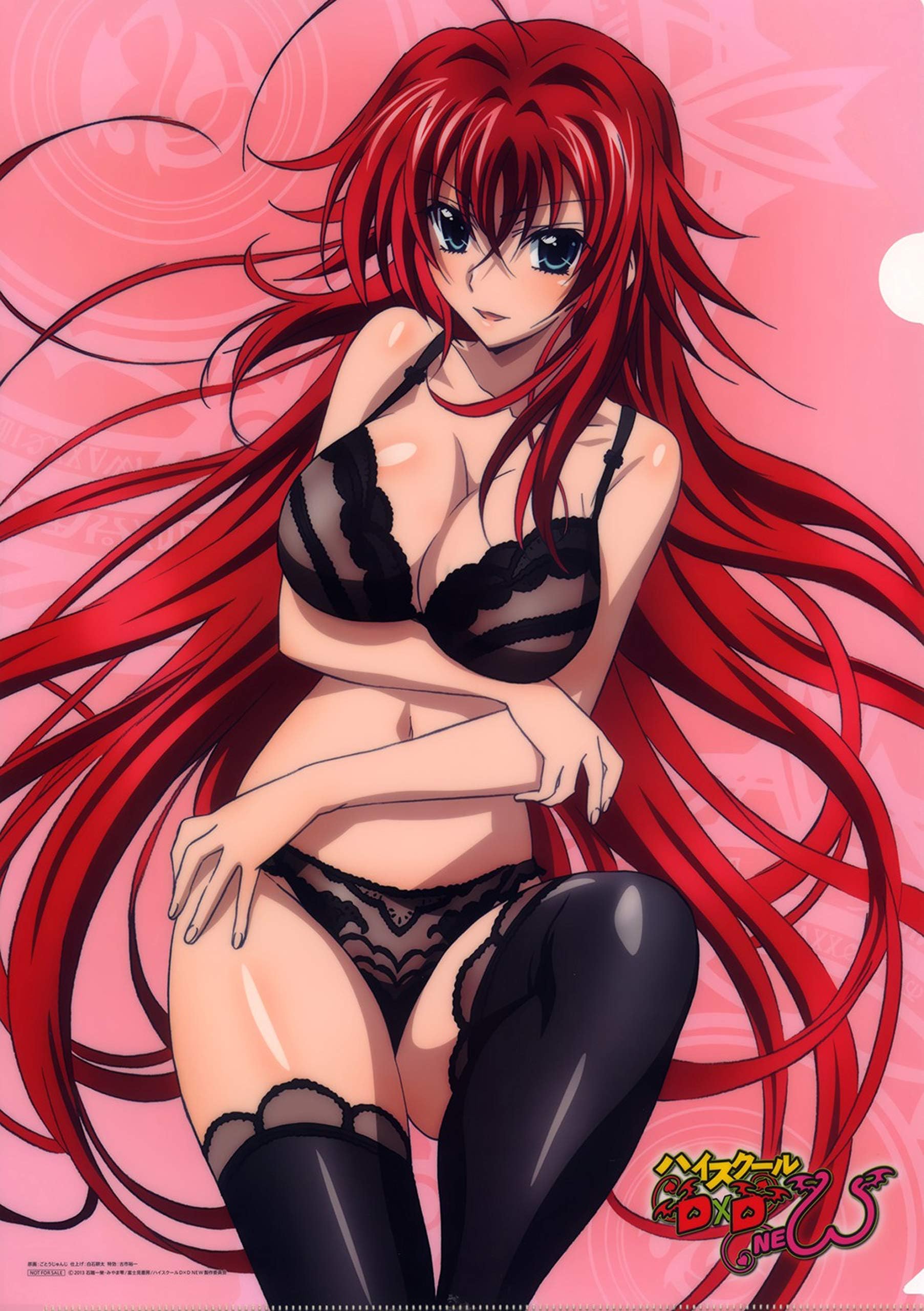 Home Decor High School DXD New Cosplay Wall Scroll Poster Rias Gremory 23.6 X 35.4 Inches- 074