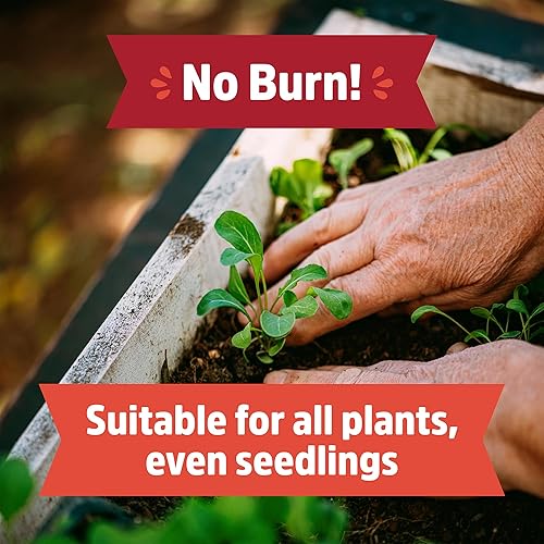 Miniatura 6 de Back to the Roots Fundición de gusano 100% orgánica y fabricada en Estados Unidos  Fertilizante vegetal natural y potenciador del suelo  Paquete de