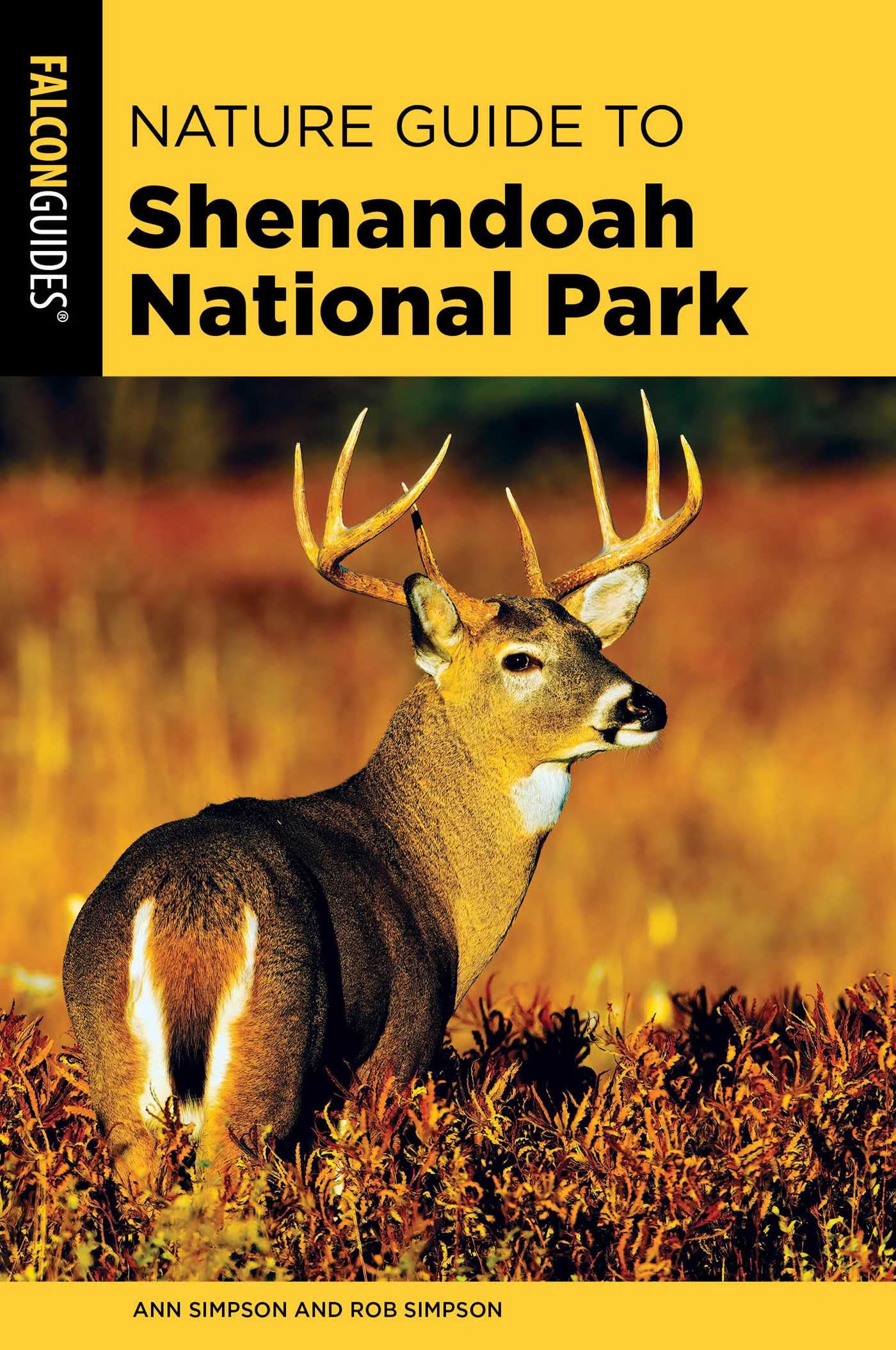 Buy Nature Guide to Shenandoah National Park: Easy and Delicious Cast Iron Recipes for Camping (The Shenandoah National Park: the Basics) — BookShops.in