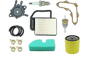 Kohler Courage 20 Tune Up Kit