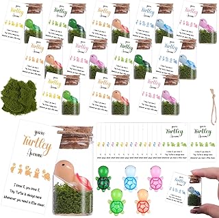 15 Sets You\'re Turtley Awesome Inspirational Gift, 15 Inspi