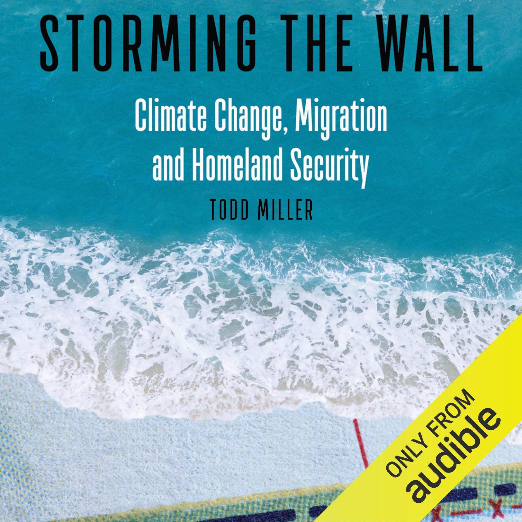 Cover art for Storming the Wall