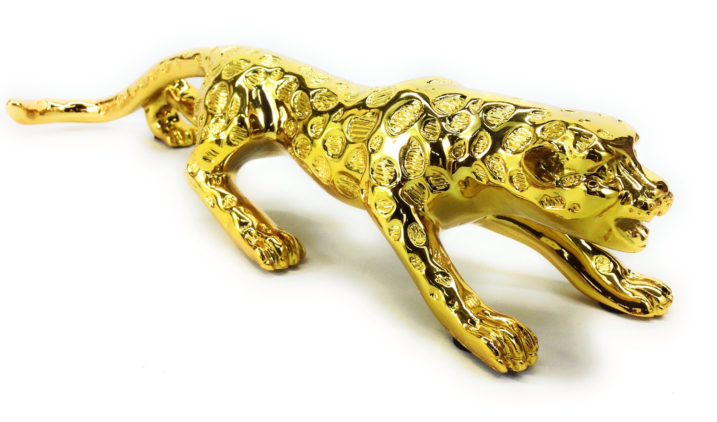 Amazon.co.jp: 【ノーブランド品】 美しい 輝き 躍動感 溢れる