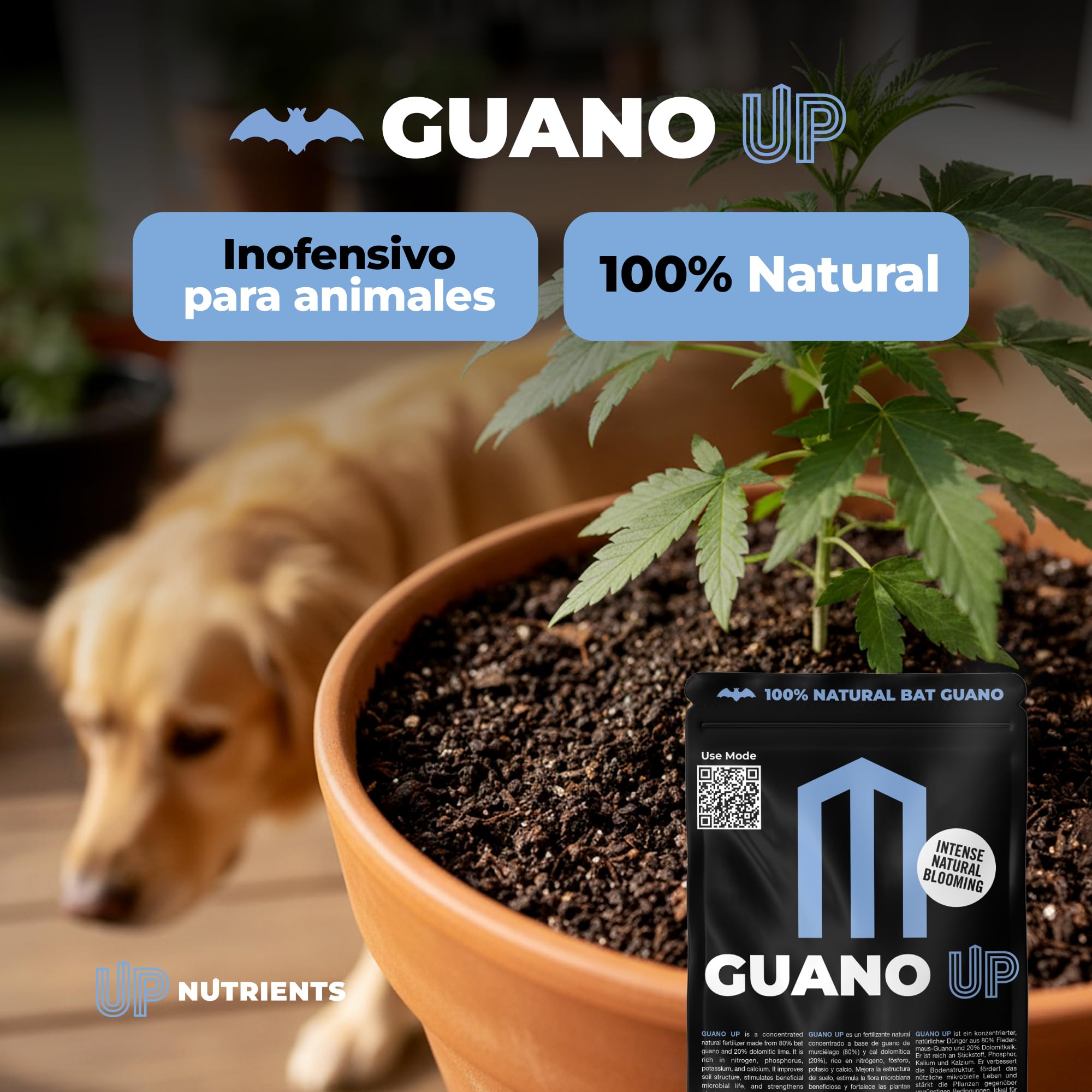 UP NUTRIENTS Fertilizante GUANO UP de Murcielago 100% Natural 1 Kg | Abono Natural con Cal Dolomita | Plantas y Cultivos | Agricultura Ecologica Floracion Intensa, Mejora Sustrato y Crecimiento