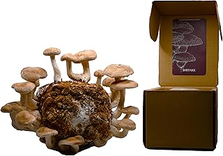 Shiitake Mushroom Grow Kit by Oakland Mushroom Co. | Handmade with Organic Ingredients | Ready to Grow | Harvest in 7-14 Days