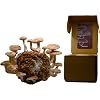 Product Photo 1