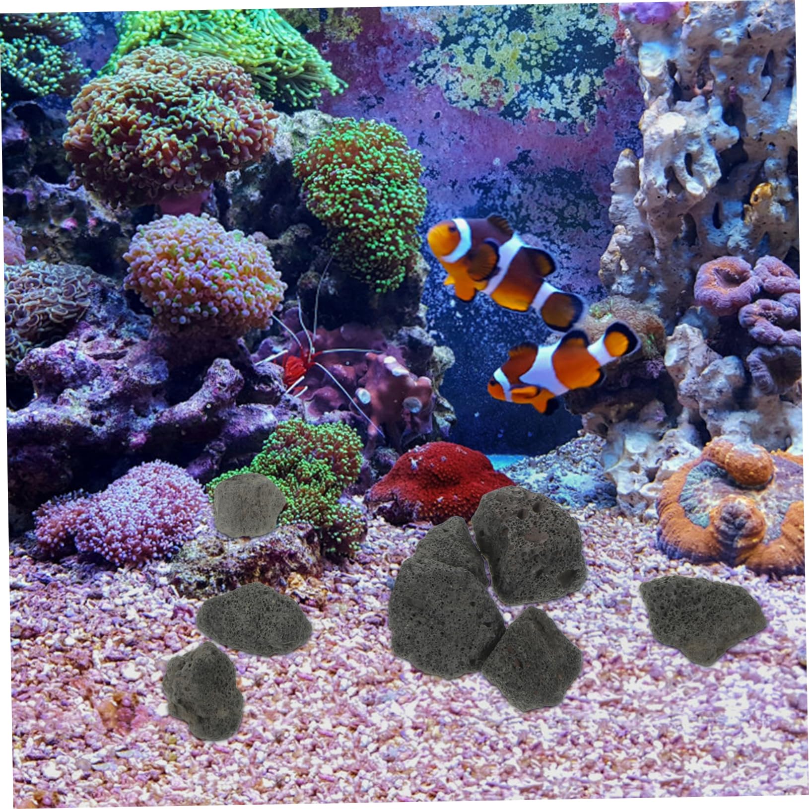 Garneck Fish Tank Aroma Pad Decor Volcanic Natural Decorative Stones 2-3cm 500g Pack Your Tank's Beauty, Black, 3x3cm - Image 4