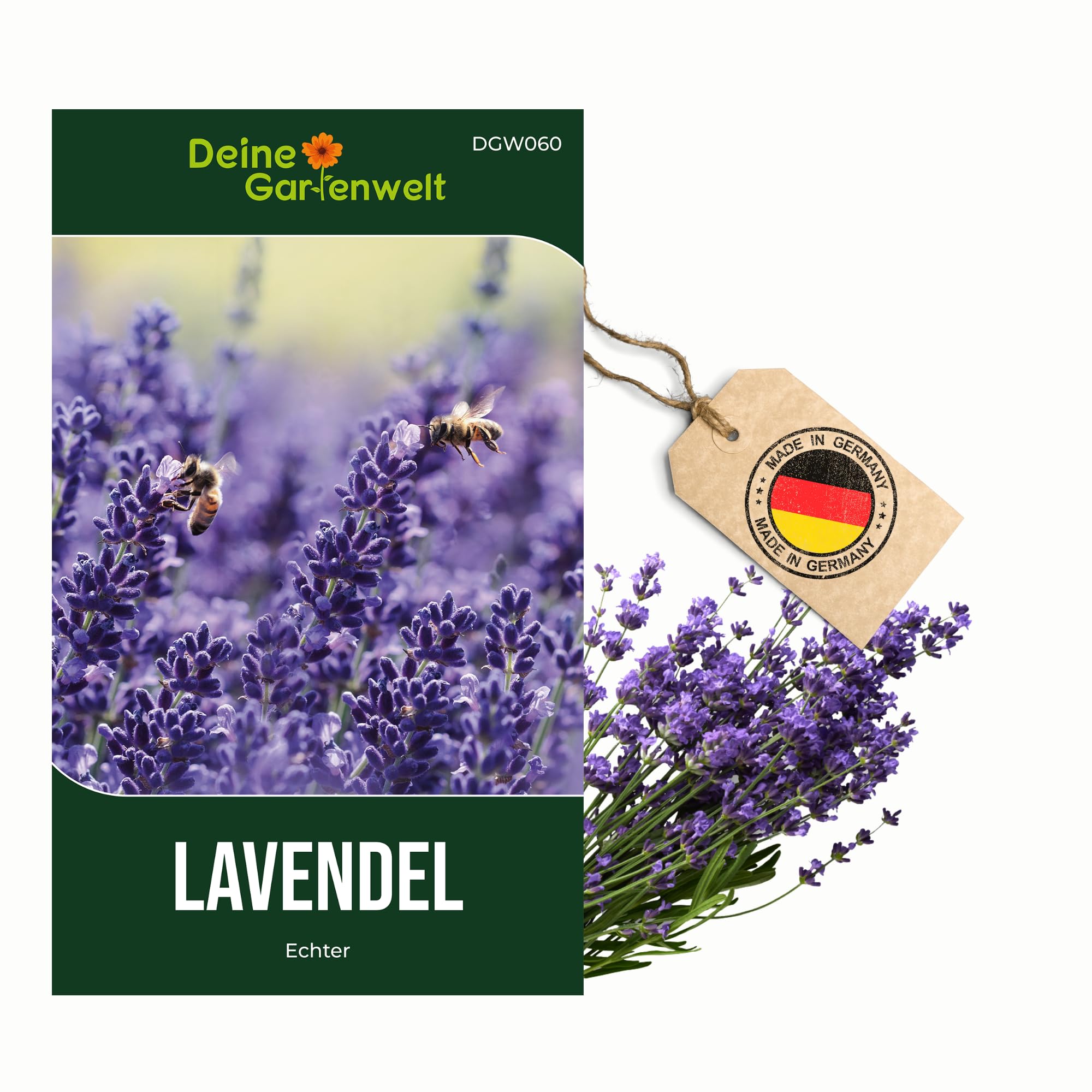 Lavendel Echter Samen - Lavandula angustifolia - Lavendelsamen - Kräutersamen - Saatgut für 50 Pflanzen
